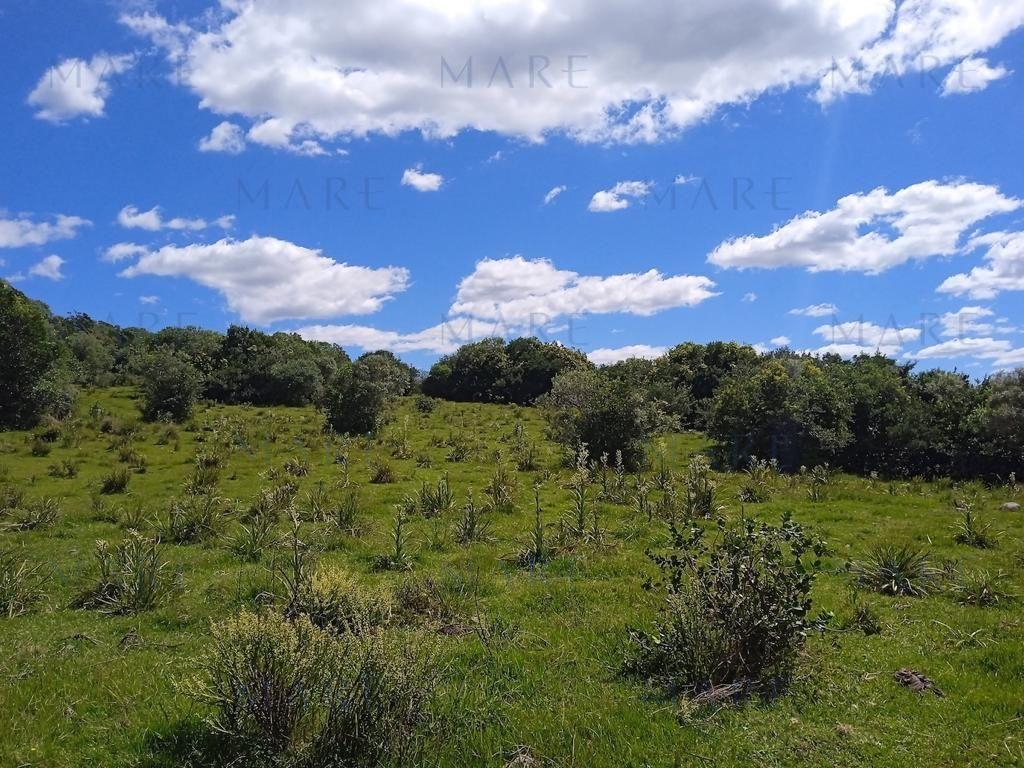 Campo en Otras - Foto 14