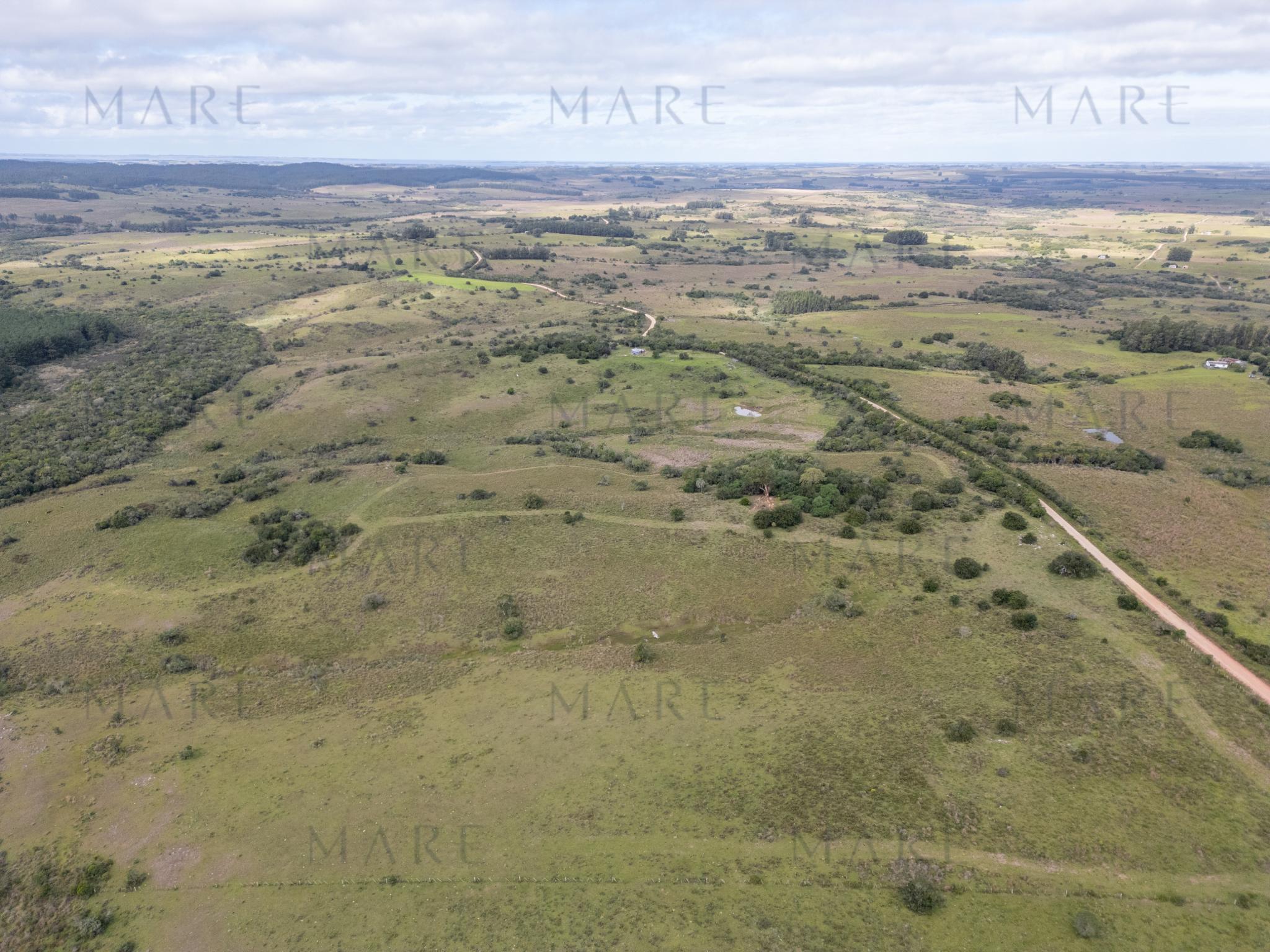 20 hectáreas con costa de arroyo en Garzón - Photo 7