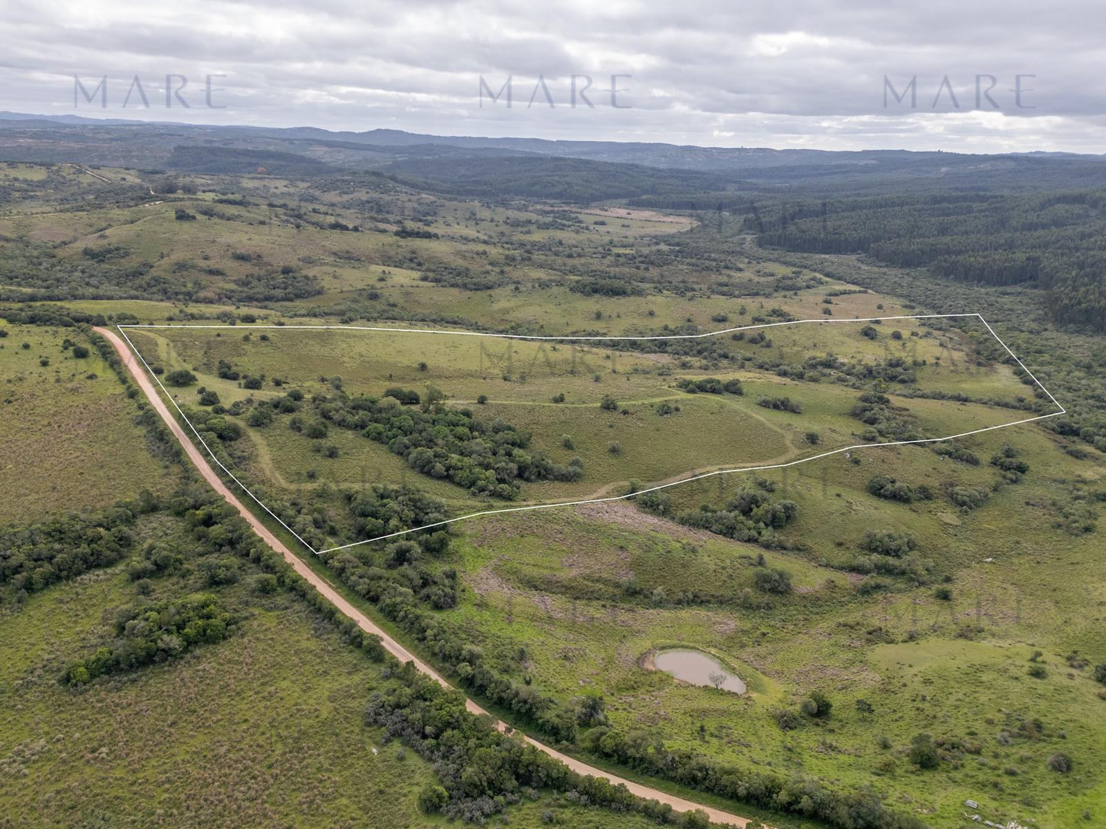 20 hectáreas con costa de arroyo en Garzón
