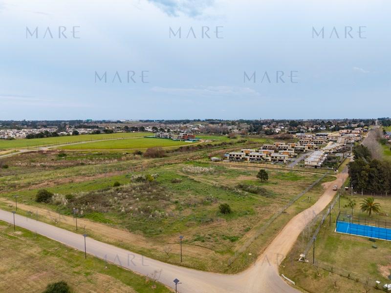Terreno de 3has. en La Tahona