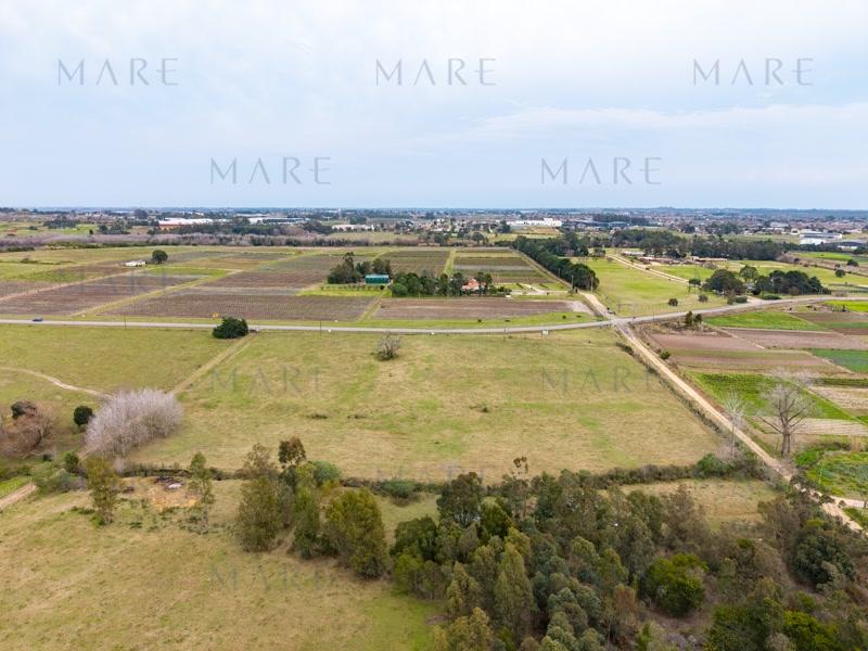 2.2 hectares in La Tahona area - Photo 10