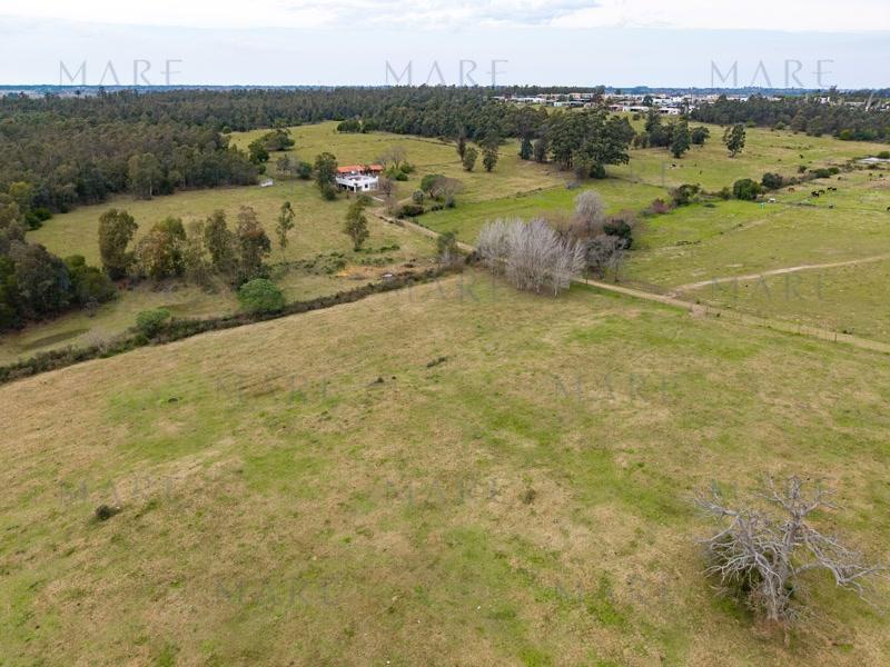 2.2 hectares in La Tahona area - Photo 9