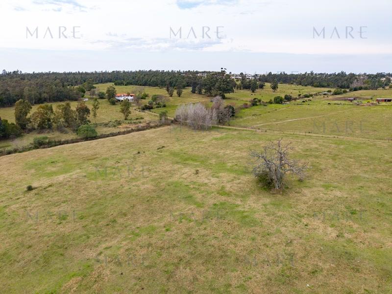 2.2 hectares in La Tahona area - Photo 8