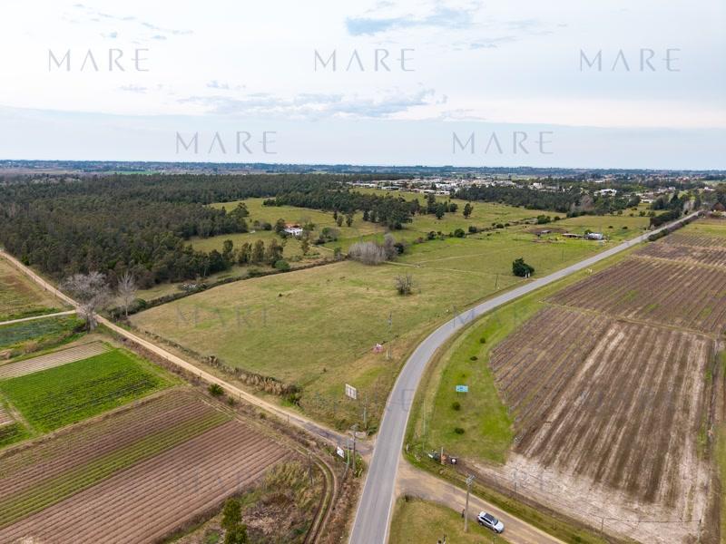 2.2 hectares in La Tahona area - Photo 3