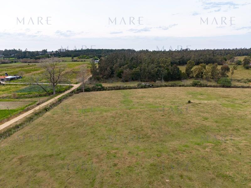 2.2 hectares in La Tahona area - Photo 7