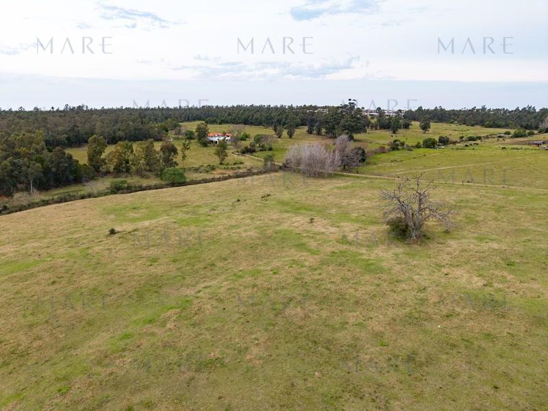 2.2 hectares in La Tahona area - Photo 6