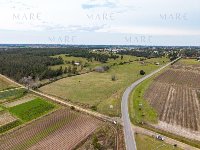 2.2 hectares in La Tahona area - Photo 4