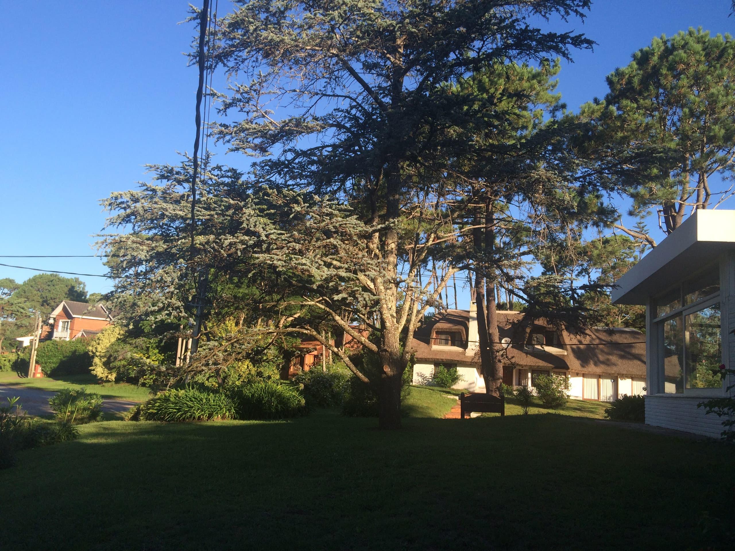 House in Playa Brava - Photo 10