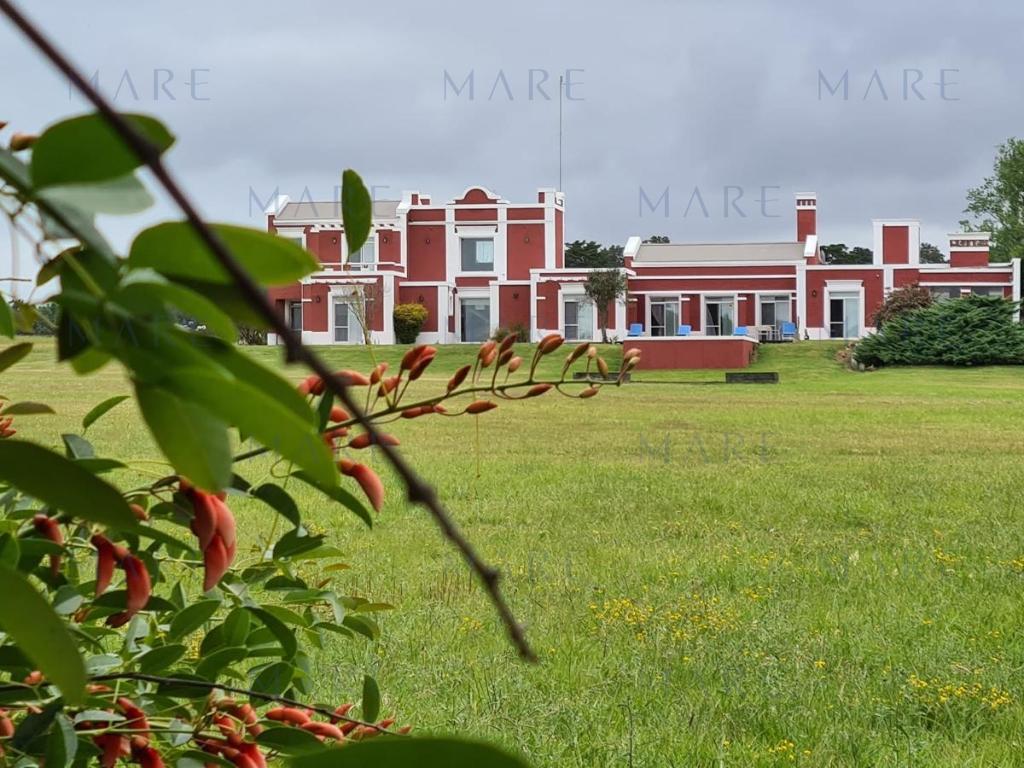 Espectacular Chacra con Costa de Laguna e Isla Privada - Lomas del Sauce - Foto 7