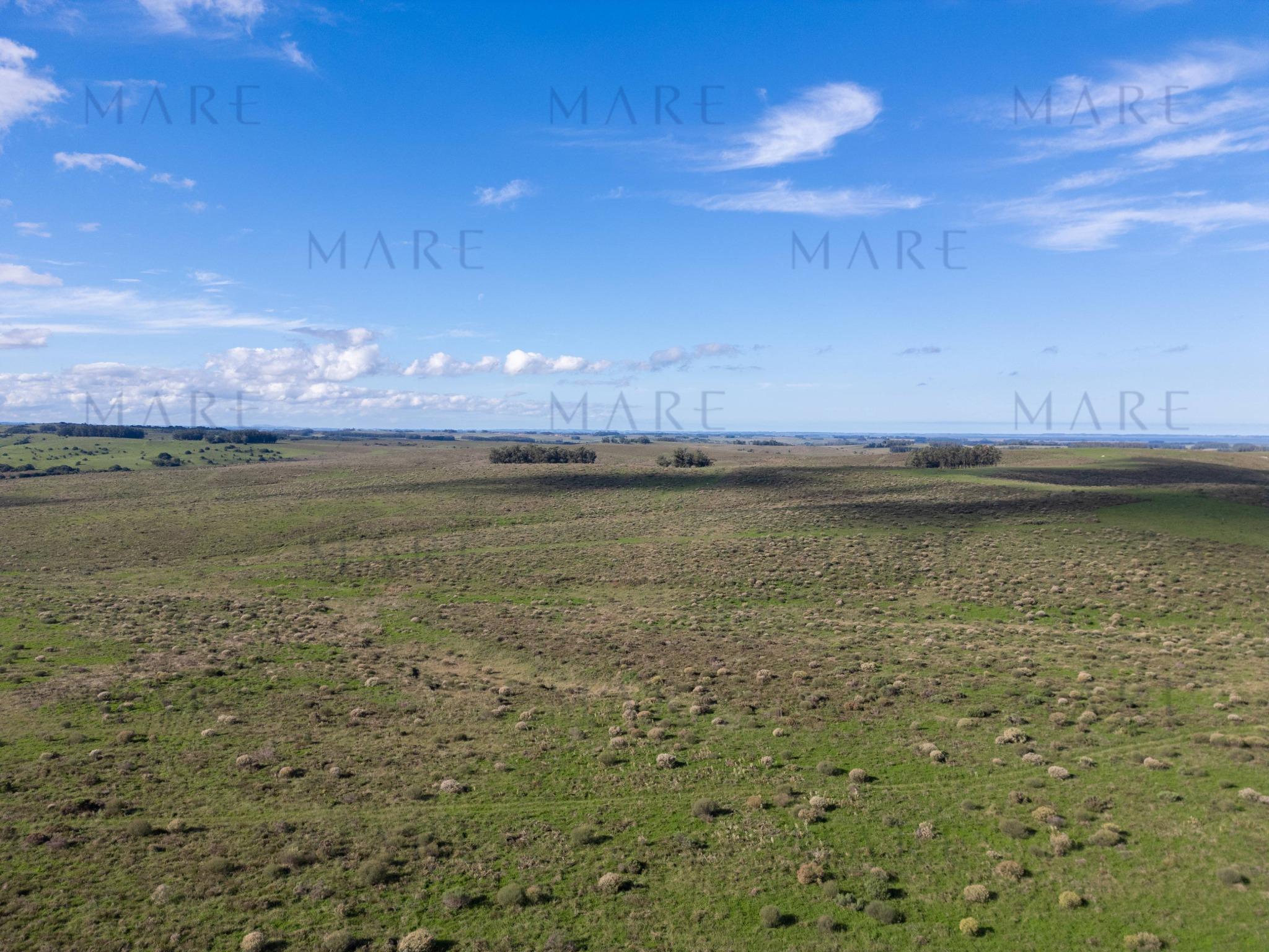 Espectacular Campo de 650 Hectáreas con Instalaciones Ganaderas - Garzón - Foto 15