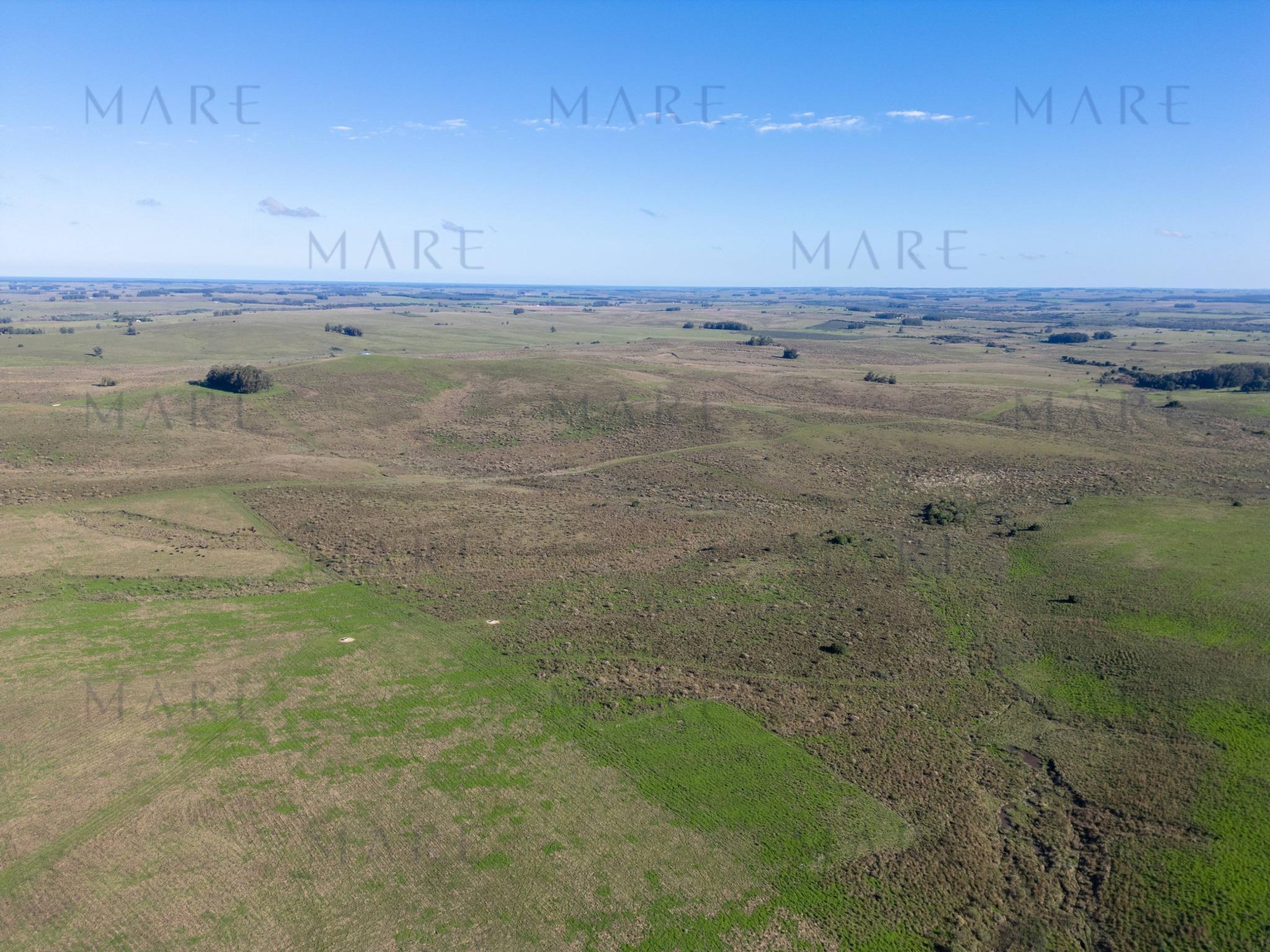 Espectacular Campo de 650 Hectáreas con Instalaciones Ganaderas - Garzón - Foto 38
