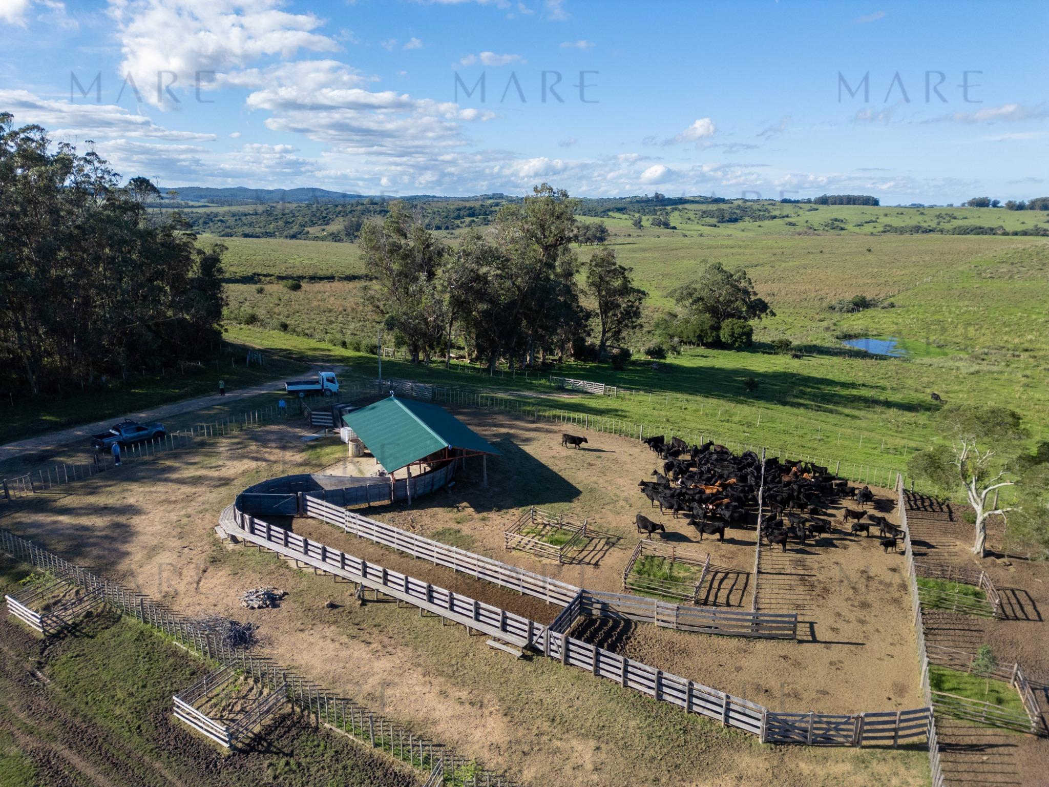 Espectacular Campo de 650 Hectáreas con Instalaciones Ganaderas - Garzón - Foto 35