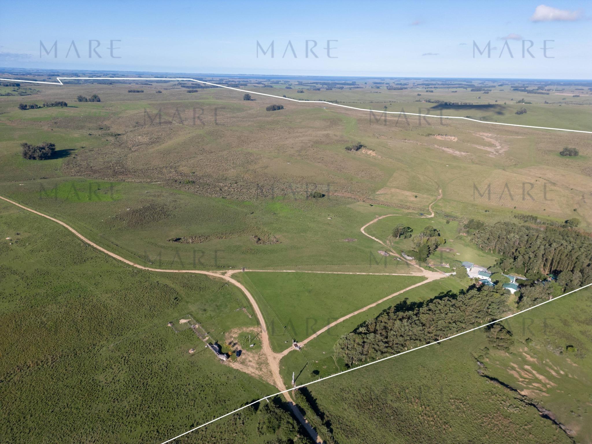 Espectacular Campo de 650 Hectáreas con Instalaciones Ganaderas - Garzón - Foto 42