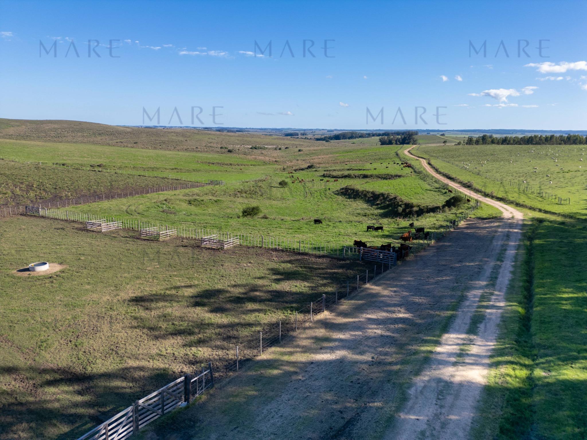 Espectacular Campo de 650 Hectáreas con Instalaciones Ganaderas - Garzón - Foto 33