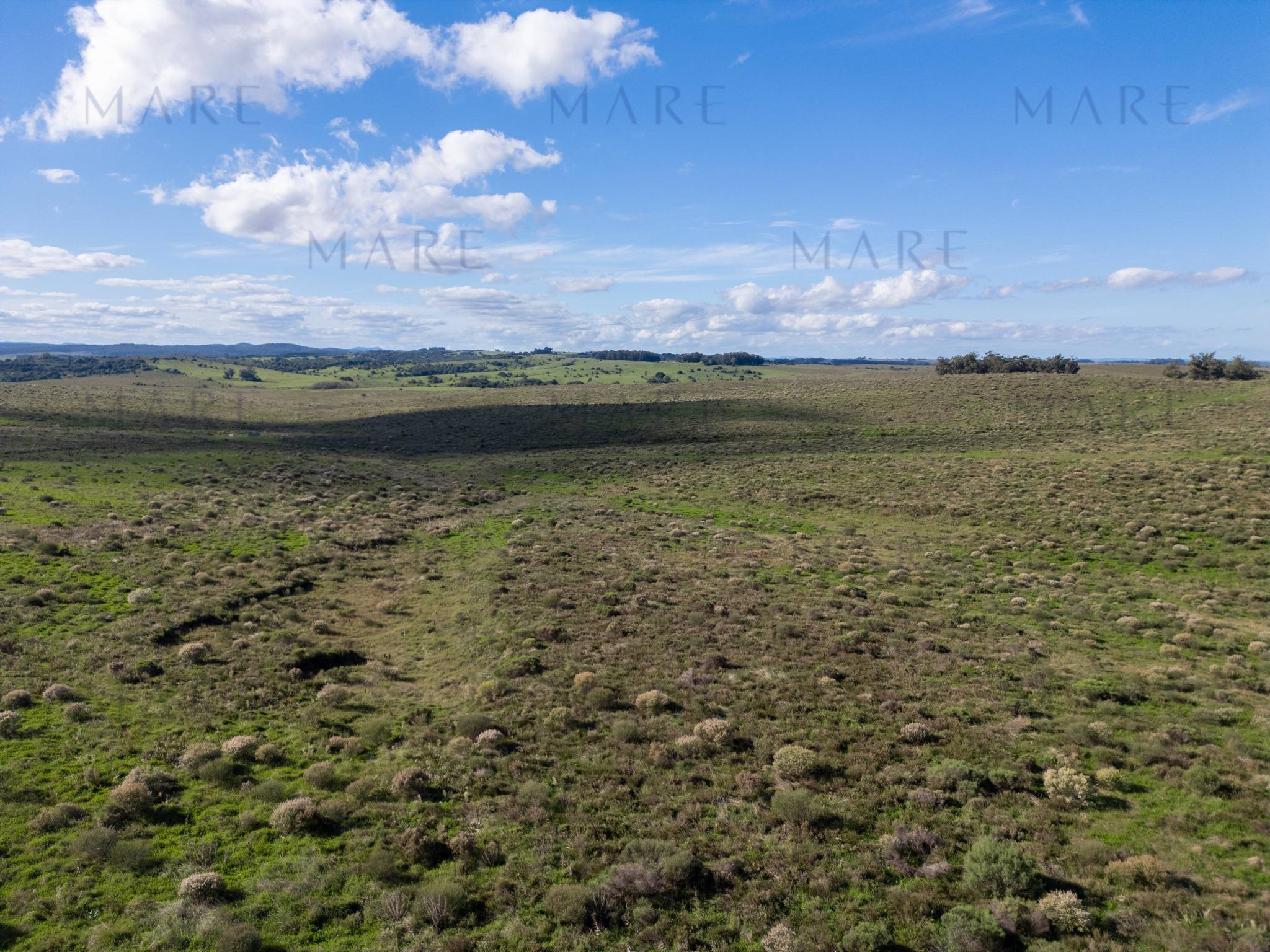 Espectacular Campo de 650 Hectáreas con Instalaciones Ganaderas - Garzón - Foto 24