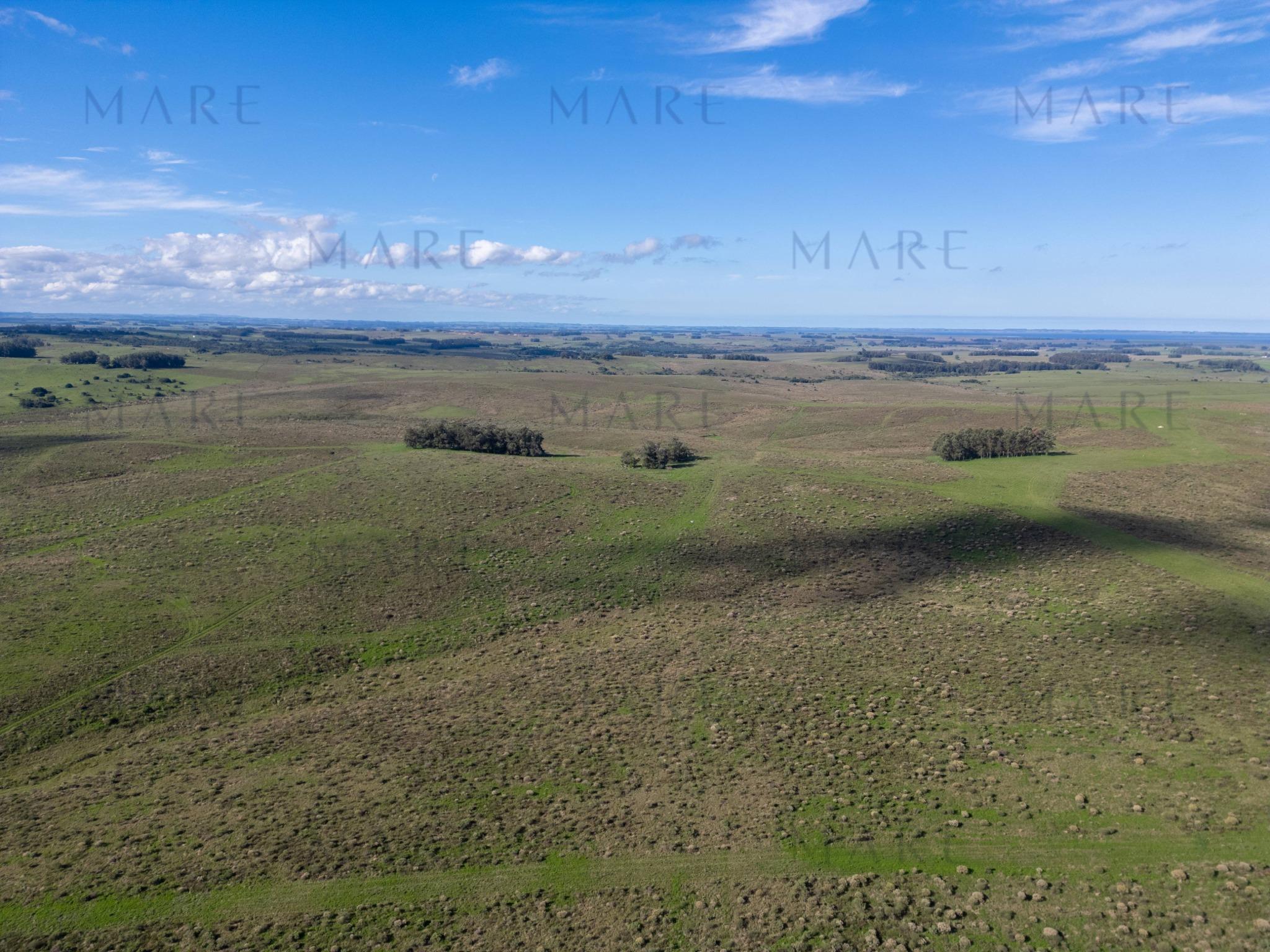 Espectacular Campo de 650 Hectáreas con Instalaciones Ganaderas - Garzón - Foto 16