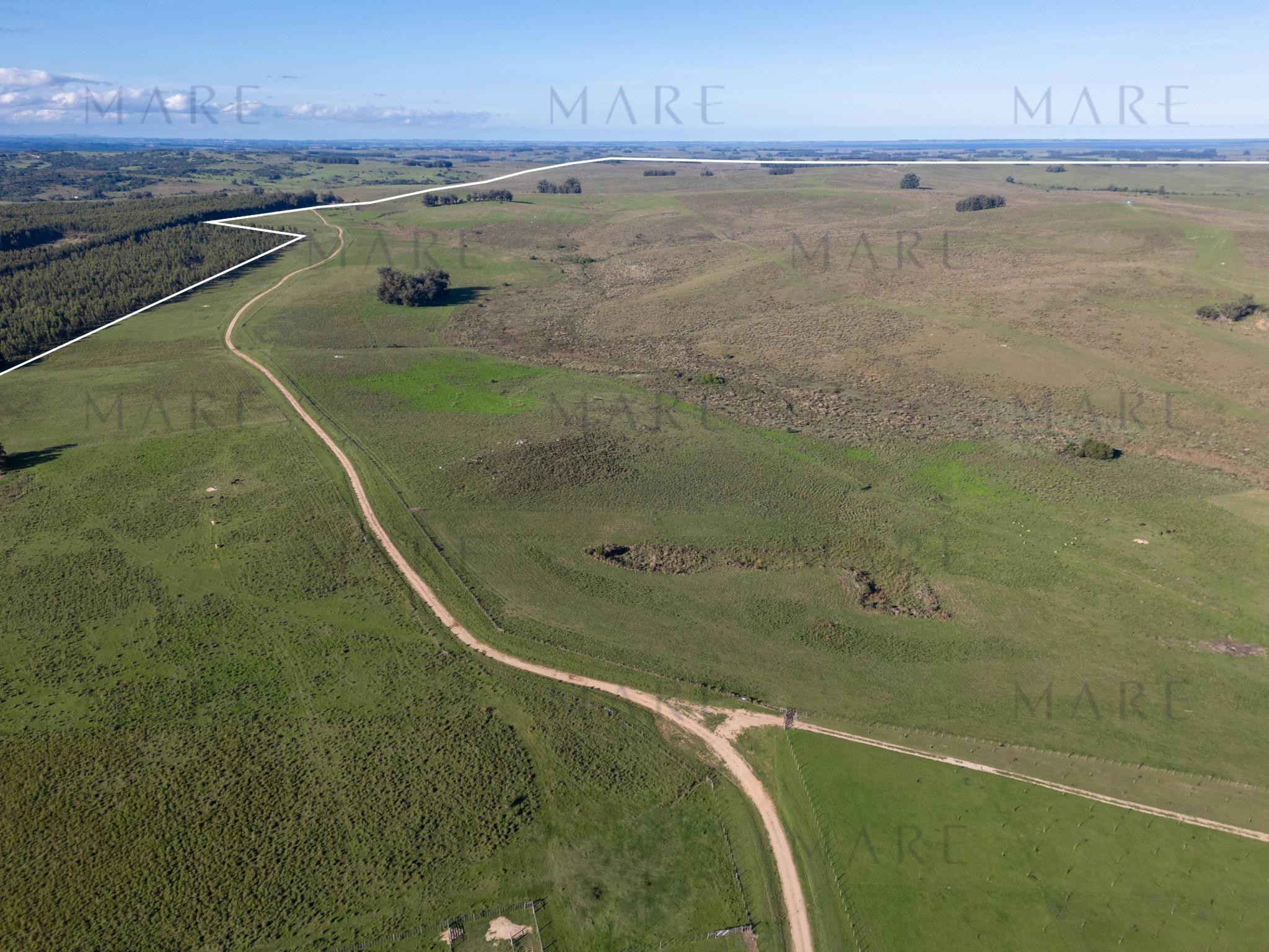 Espectacular Campo de 650 Hectáreas con Instalaciones Ganaderas - Garzón - Foto 41