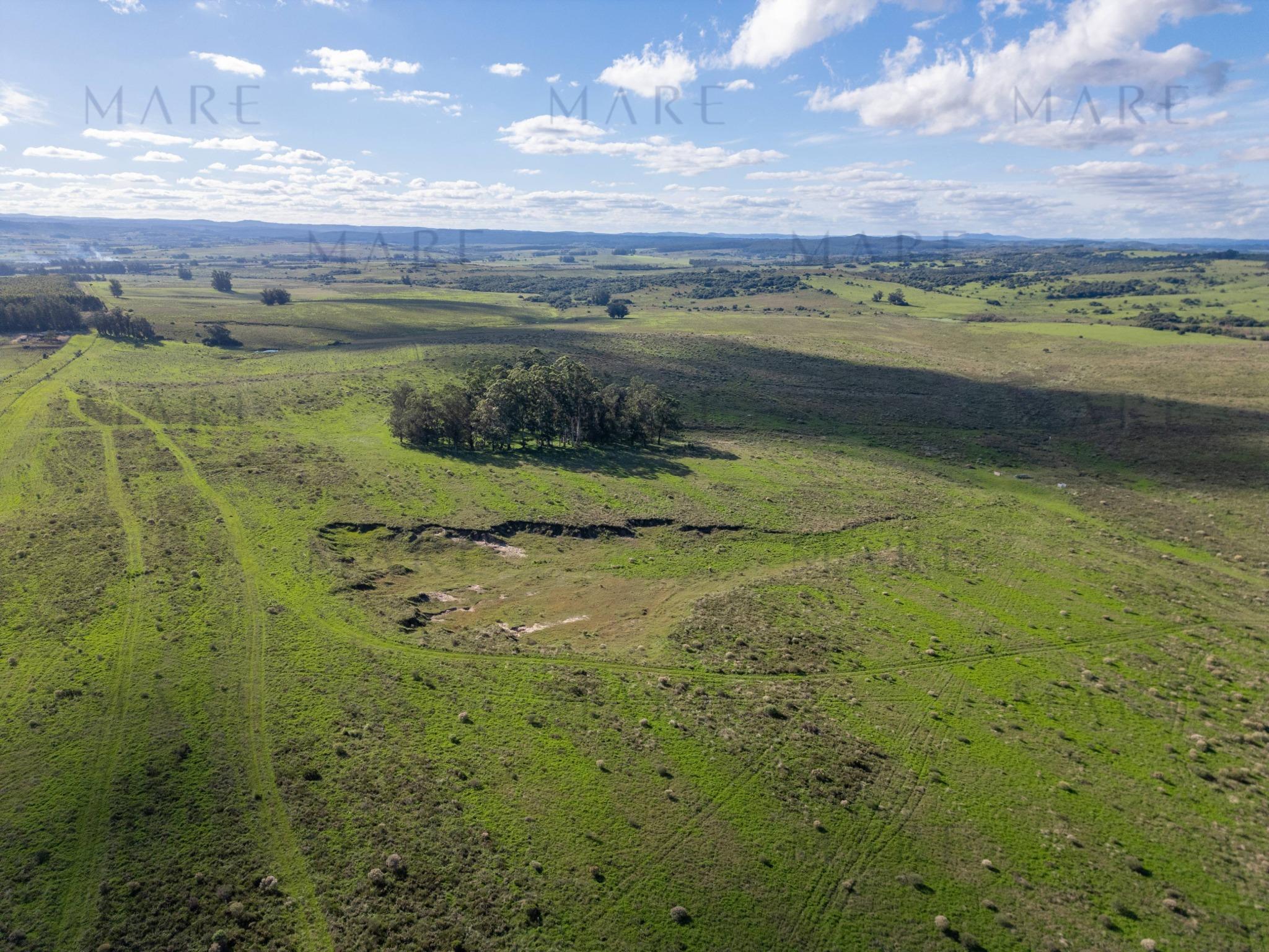 Espectacular Campo de 650 Hectáreas con Instalaciones Ganaderas - Garzón - Foto 20