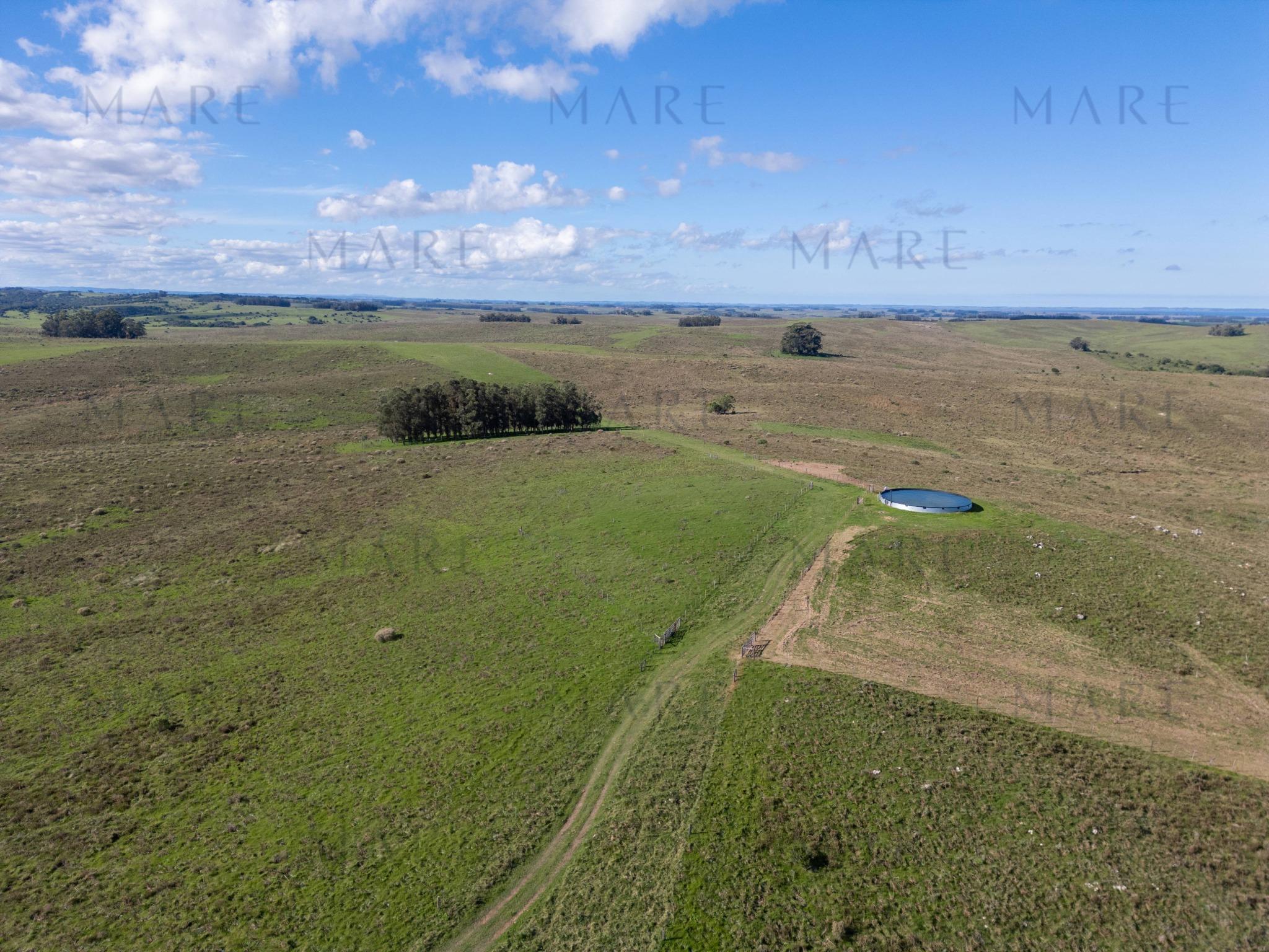 Espectacular Campo de 650 Hectáreas con Instalaciones Ganaderas - Garzón - Foto 14