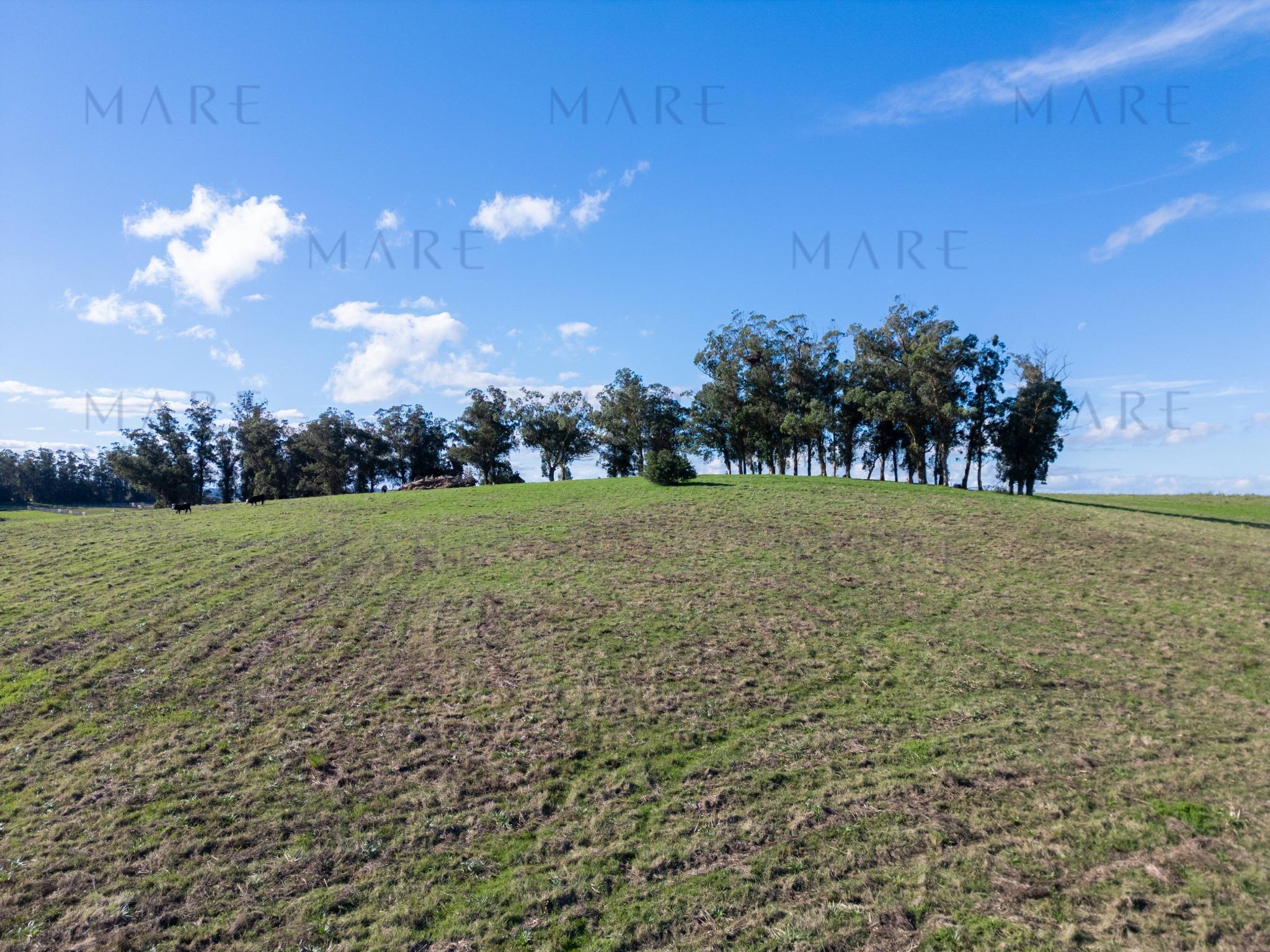 Espectacular Campo de 650 Hectáreas con Instalaciones Ganaderas - Garzón - Foto 26