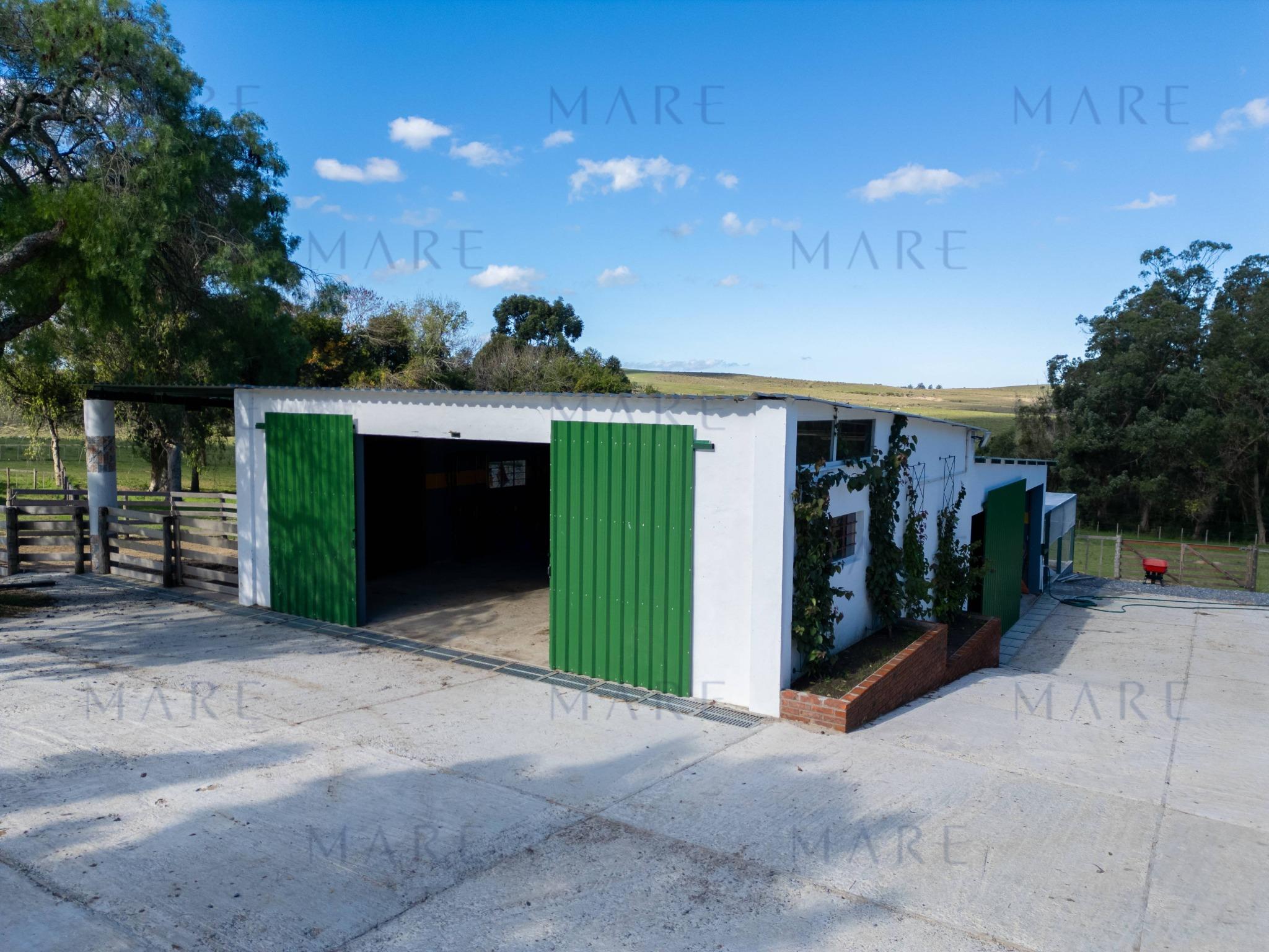 Espectacular Campo de 650 Hectáreas con Instalaciones Ganaderas - Garzón - Foto 5