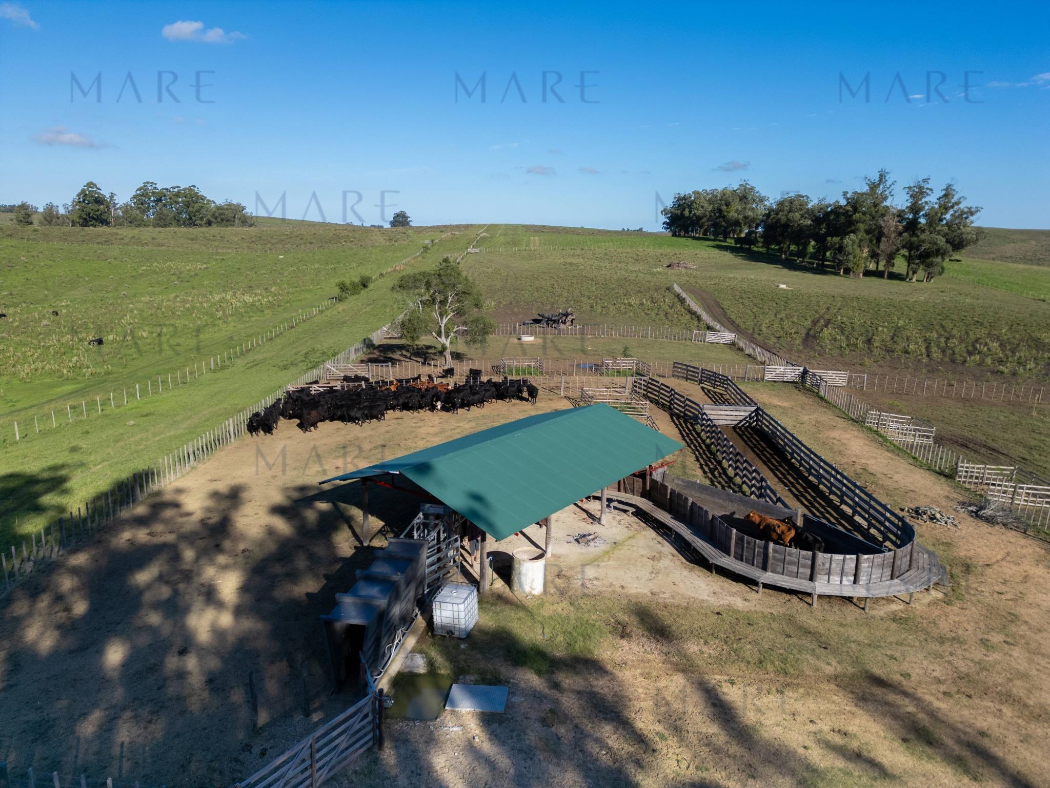 Espectacular Campo de 650 Hectáreas con Instalaciones Ganaderas - Garzón - Foto 32