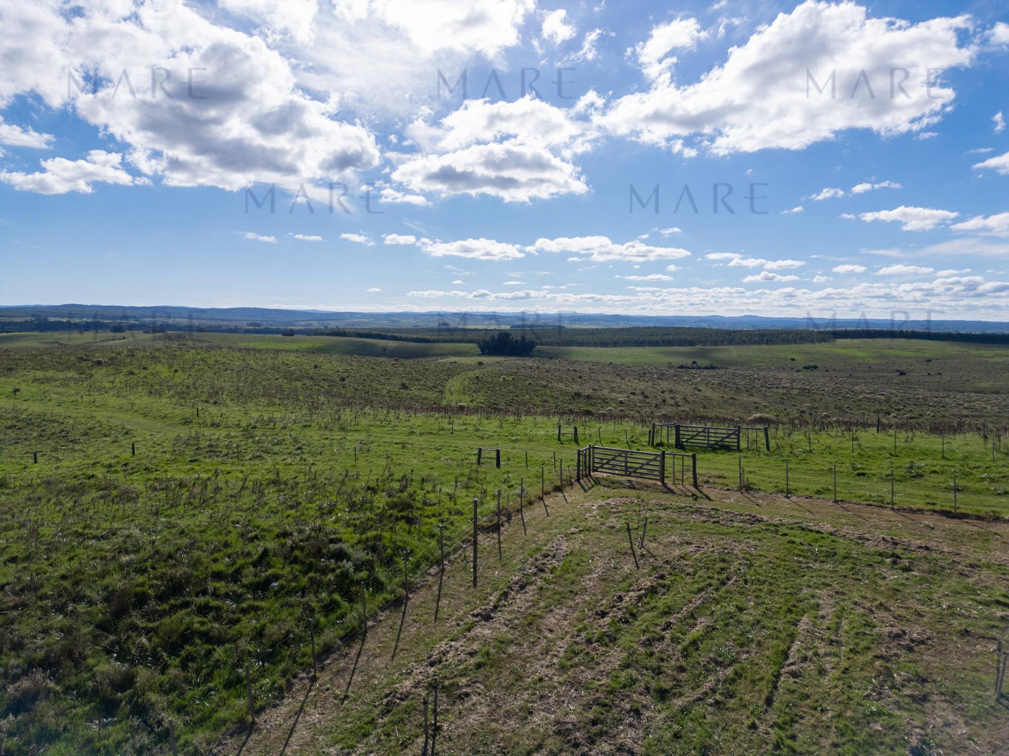 Espectacular Campo de 650 Hectáreas con Instalaciones Ganaderas - Garzón - Foto 12