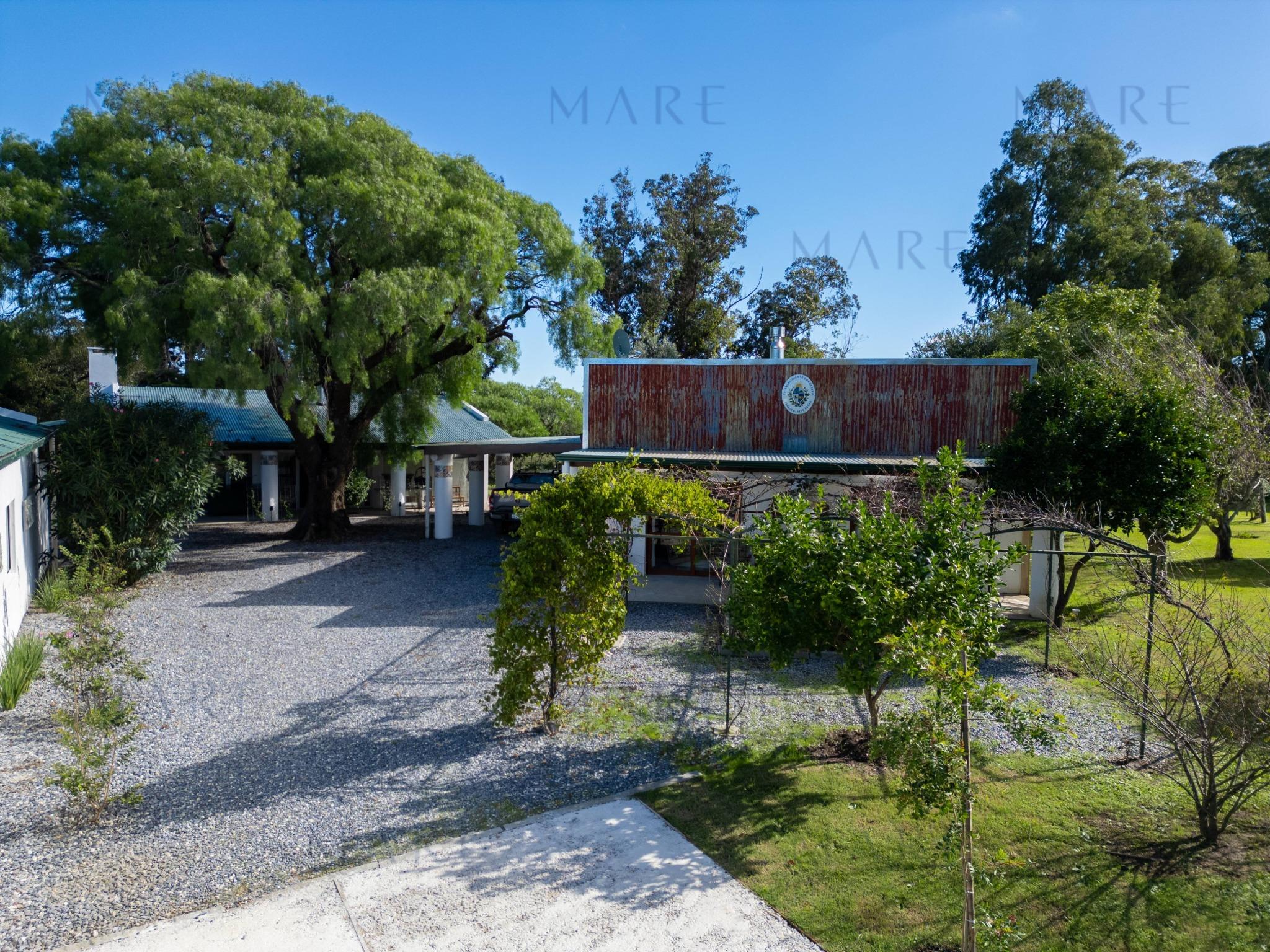 Espectacular Campo de 650 Hectáreas con Instalaciones Ganaderas - Garzón - Foto 6