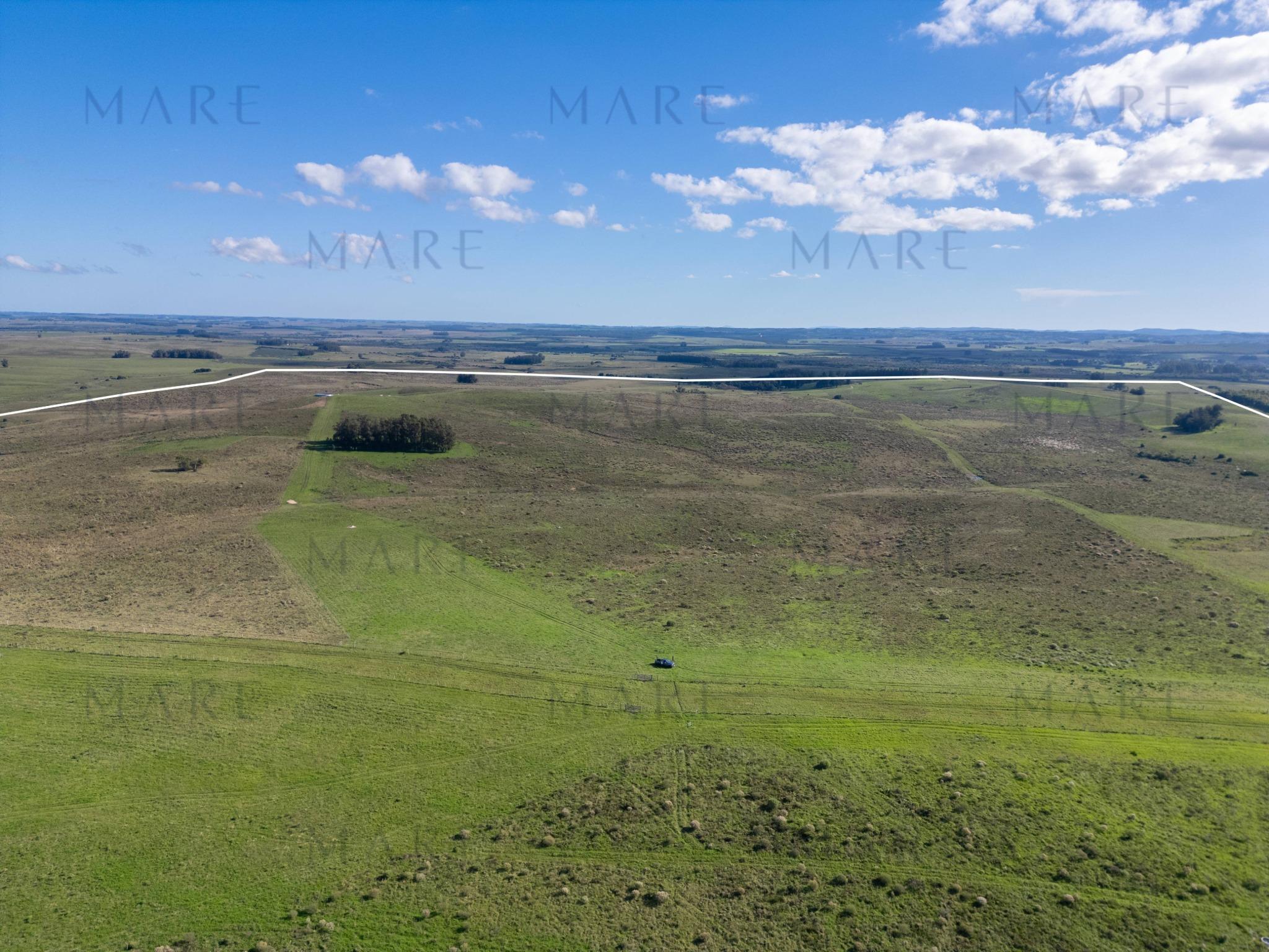 Espectacular Campo de 650 Hectáreas con Instalaciones Ganaderas - Garzón - Foto 18