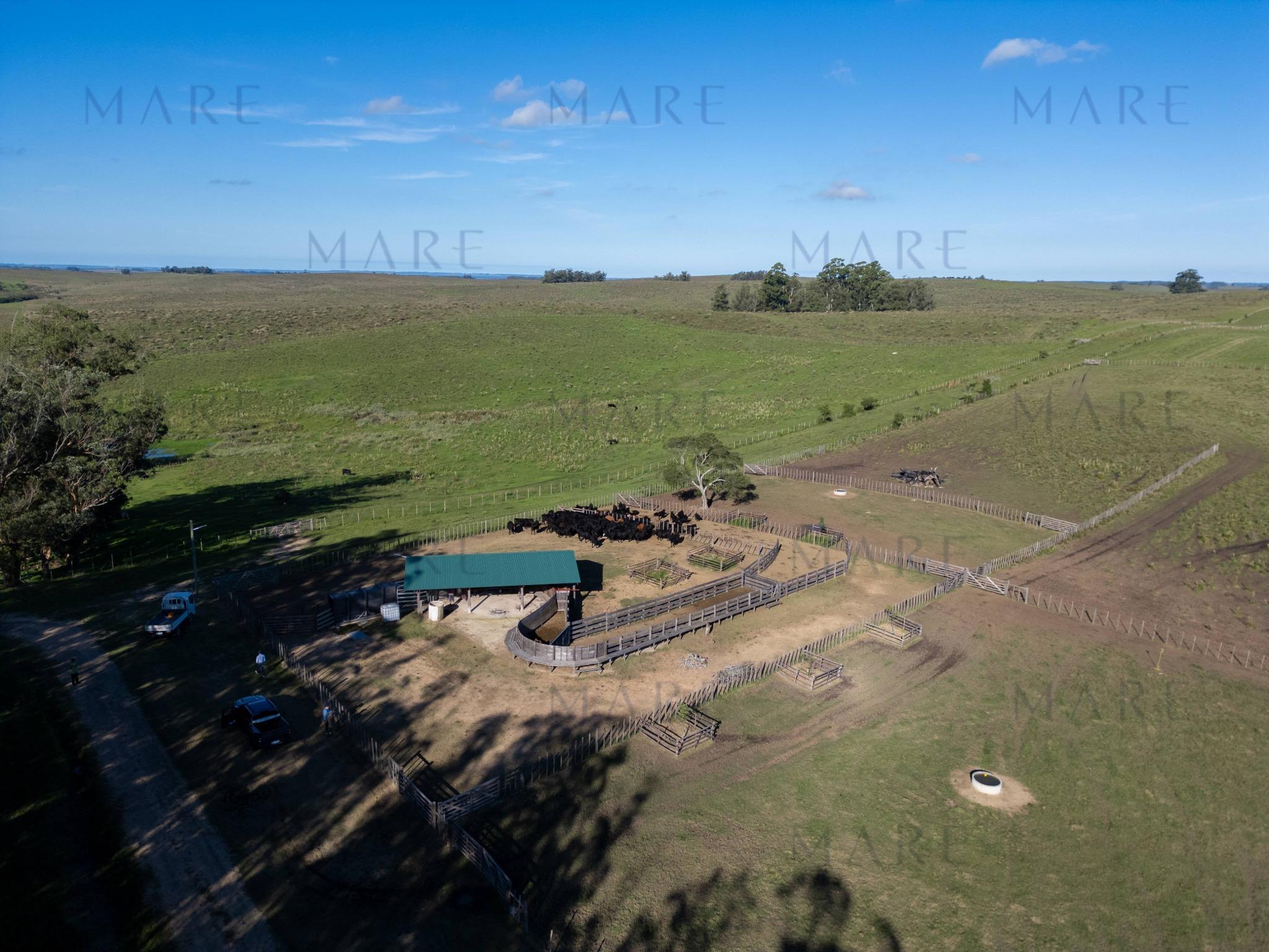 Espectacular Campo de 650 Hectáreas con Instalaciones Ganaderas - Garzón - Foto 34