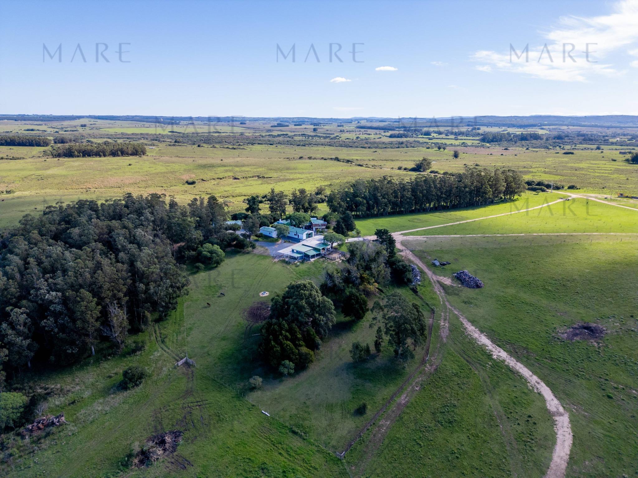 Espectacular Campo de 650 Hectáreas con Instalaciones Ganaderas - Garzón - Foto 4