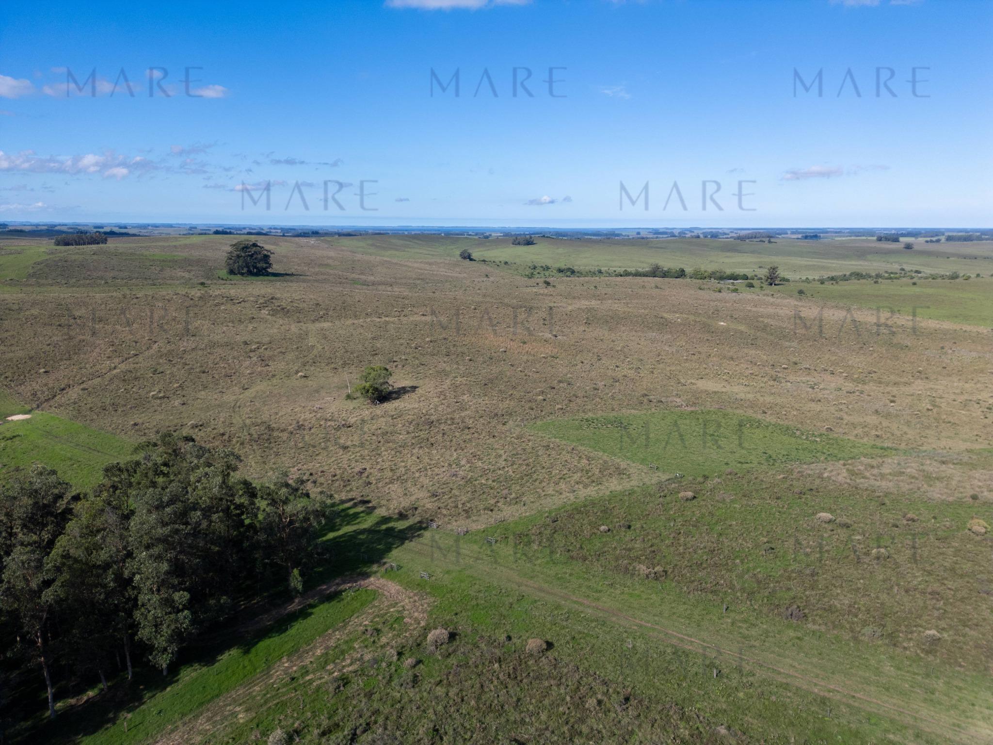 Espectacular Campo de 650 Hectáreas con Instalaciones Ganaderas - Garzón - Foto 9