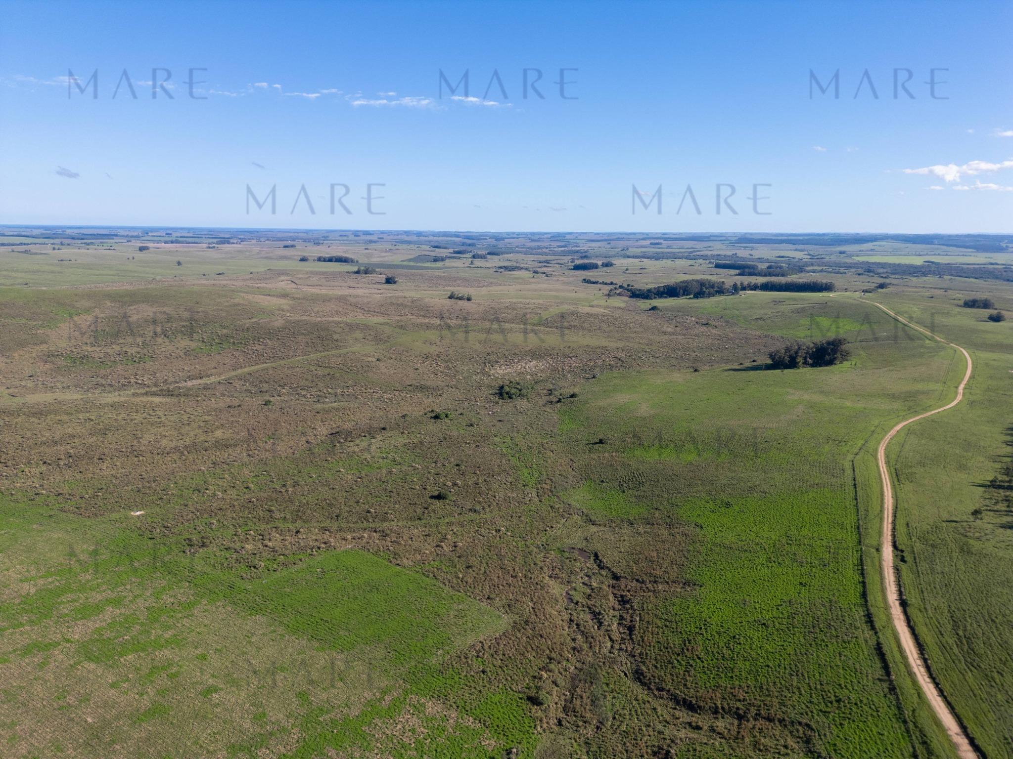 Espectacular Campo de 650 Hectáreas con Instalaciones Ganaderas - Garzón - Foto 37