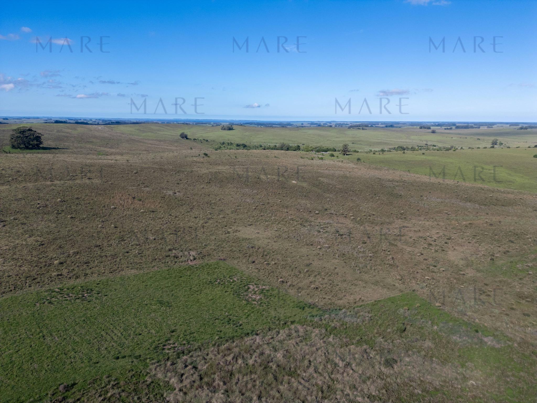 Espectacular Campo de 650 Hectáreas con Instalaciones Ganaderas - Garzón - Foto 10