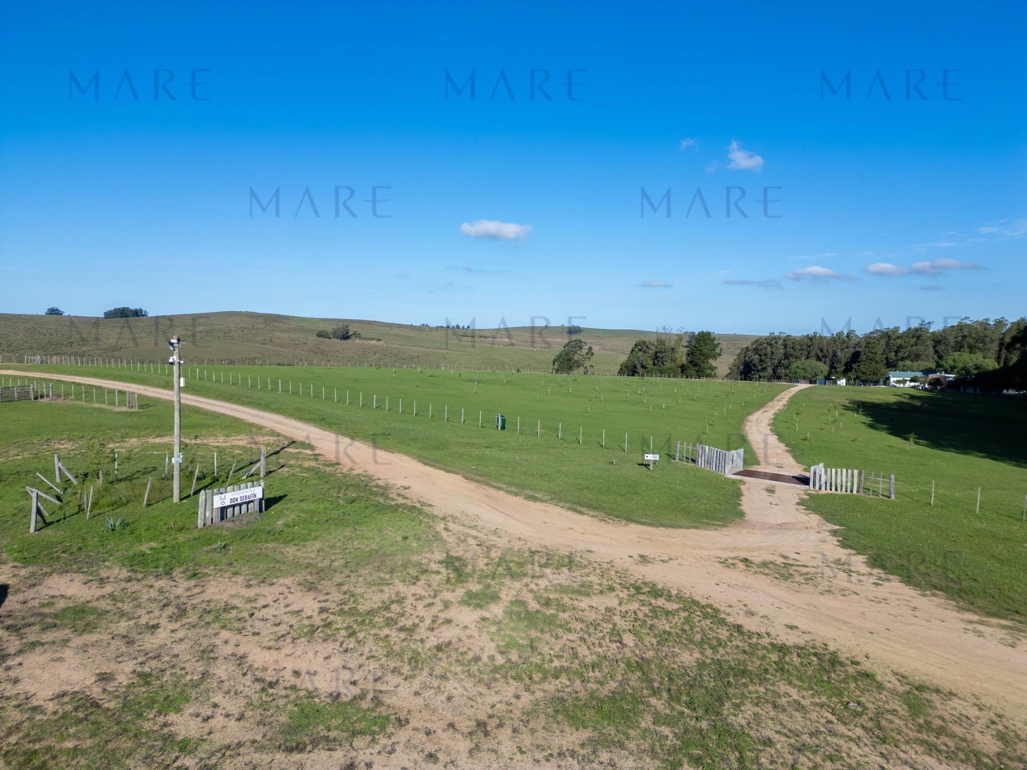 Espectacular Campo de 650 Hectáreas con Instalaciones Ganaderas - Garzón - Foto 40