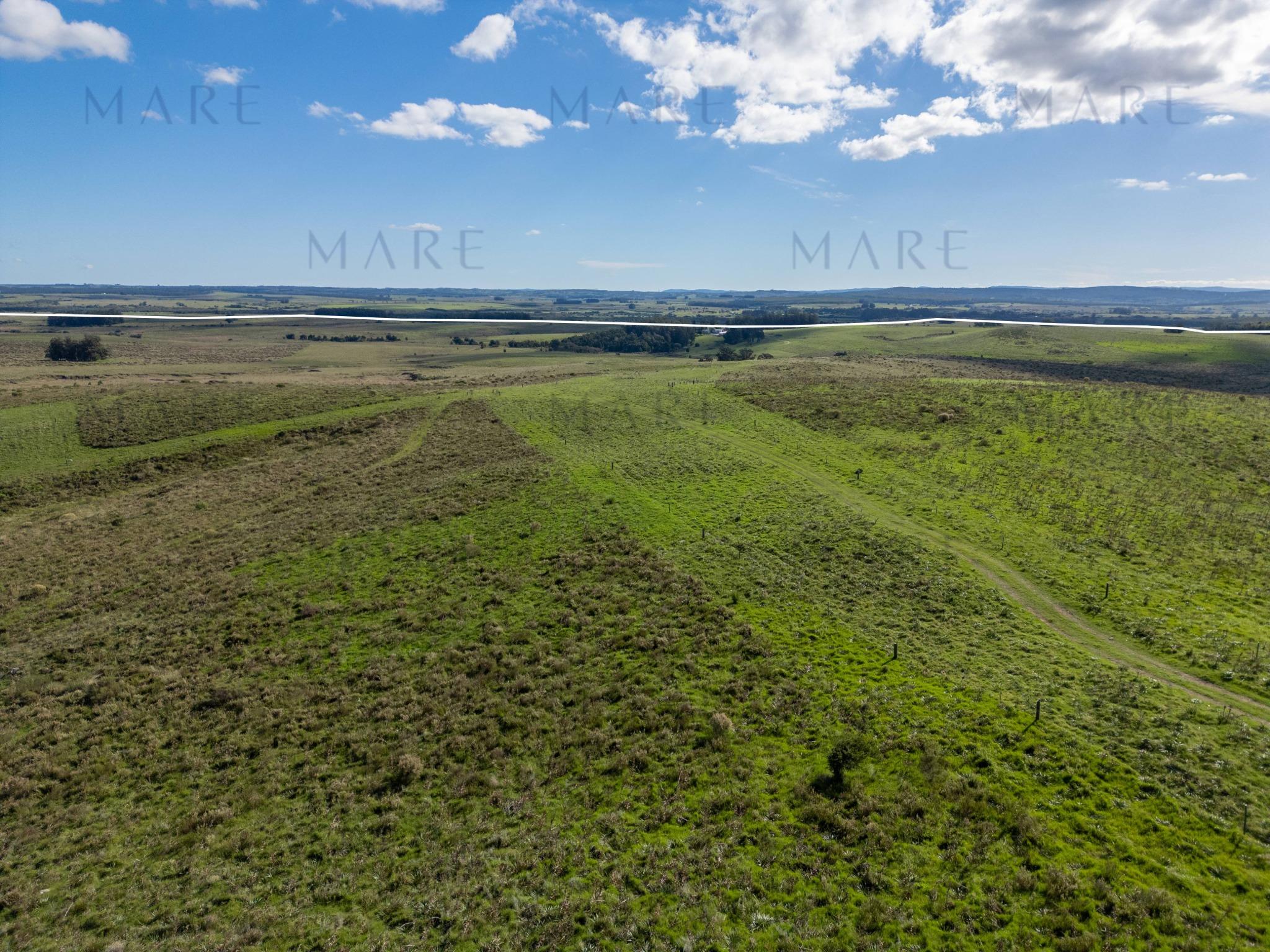 Espectacular Campo de 650 Hectáreas con Instalaciones Ganaderas - Garzón - Foto 13