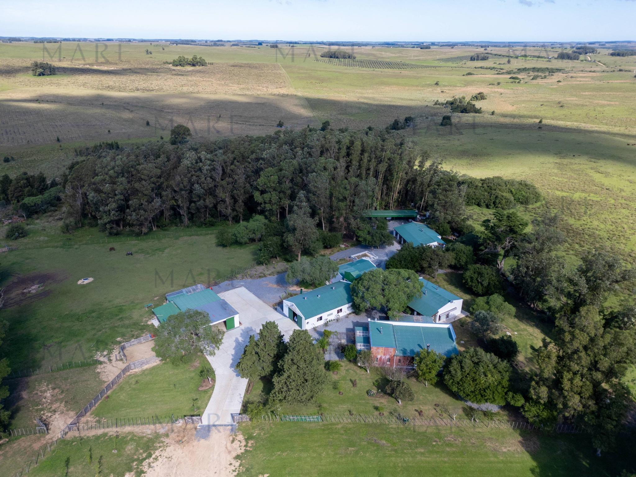Espectacular Campo de 650 Hectáreas con Instalaciones Ganaderas - Garzón - Foto 3