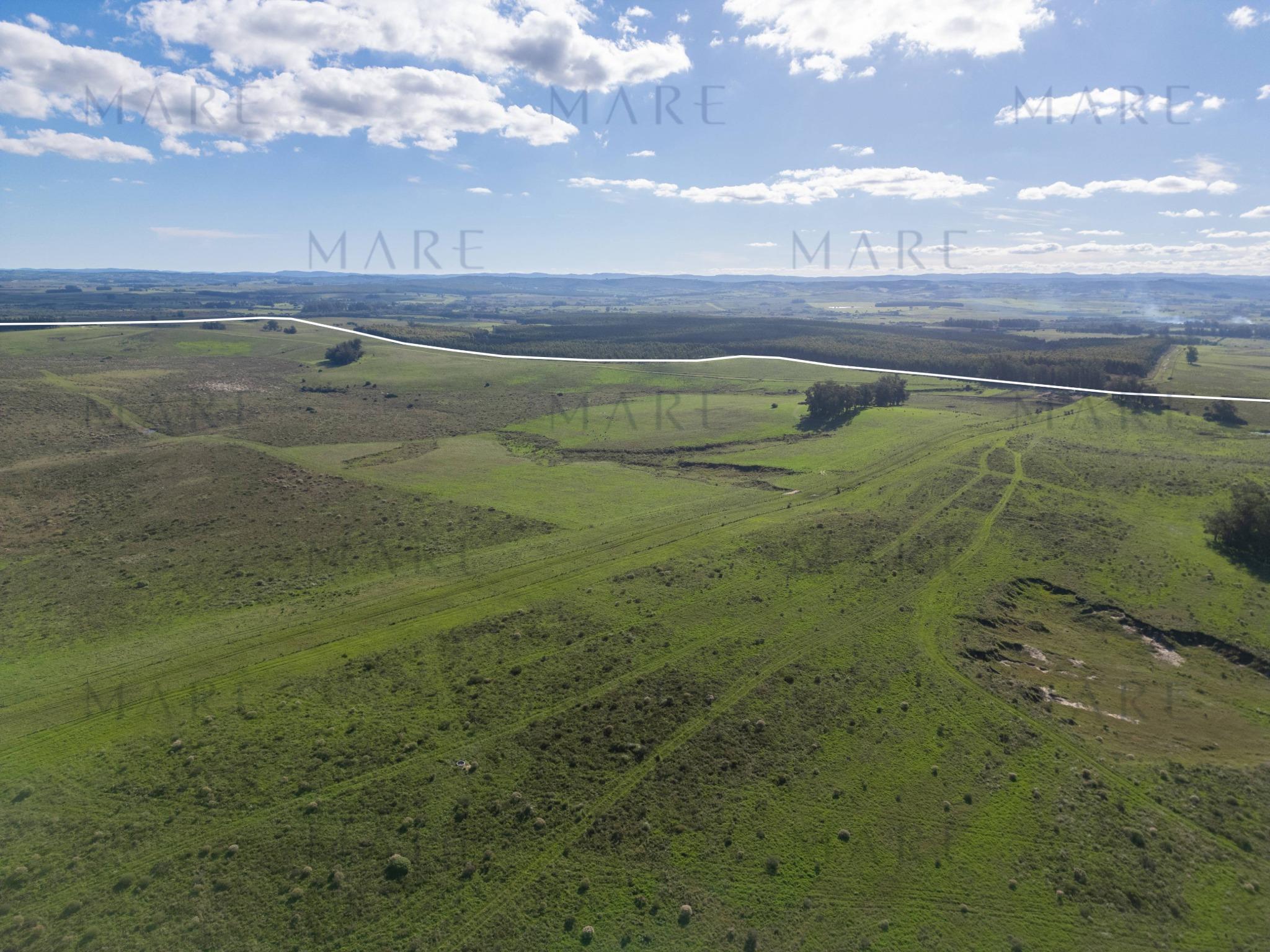 Espectacular Campo de 650 Hectáreas con Instalaciones Ganaderas - Garzón - Foto 19