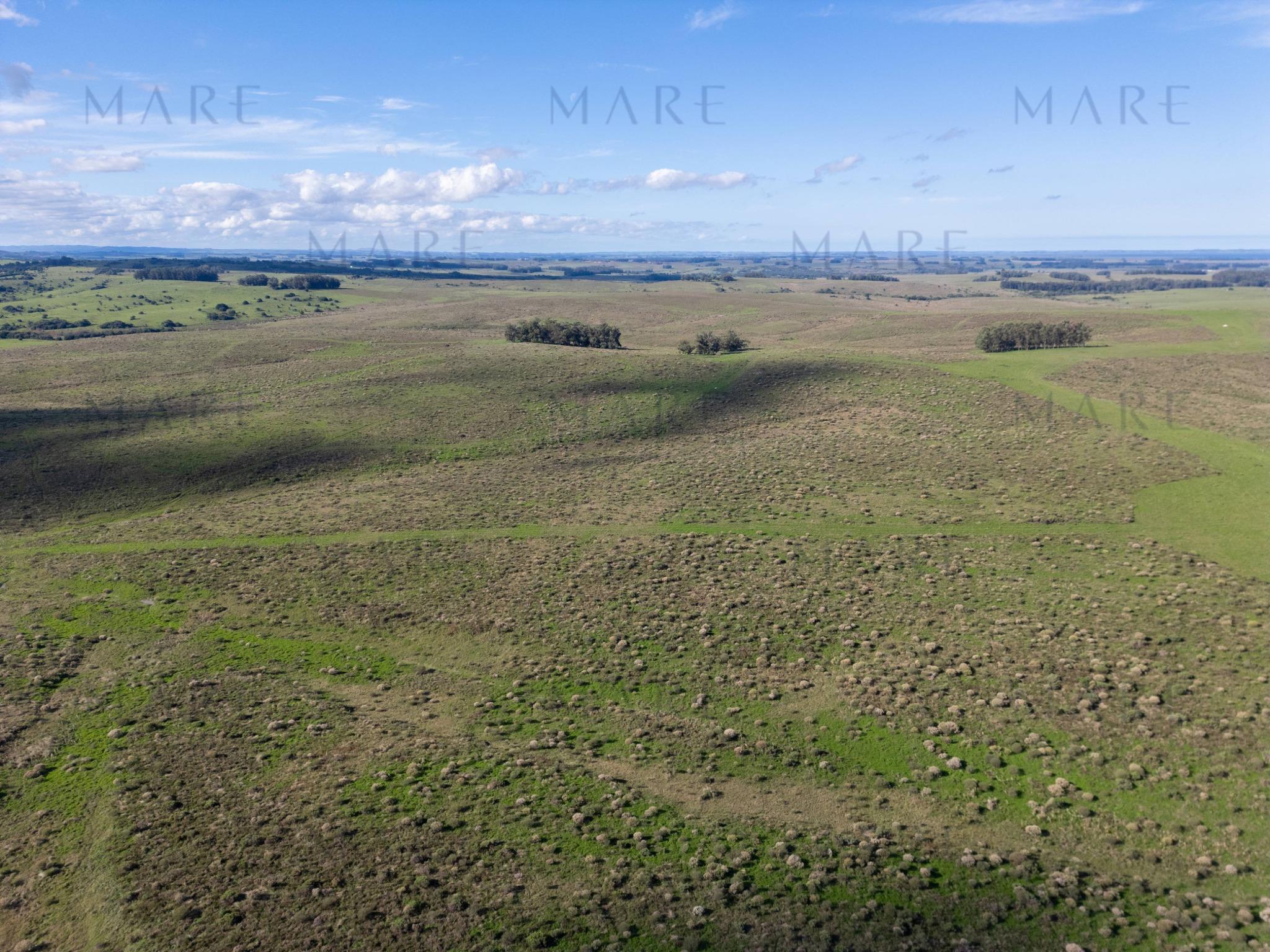 Espectacular Campo de 650 Hectáreas con Instalaciones Ganaderas - Garzón - Foto 22