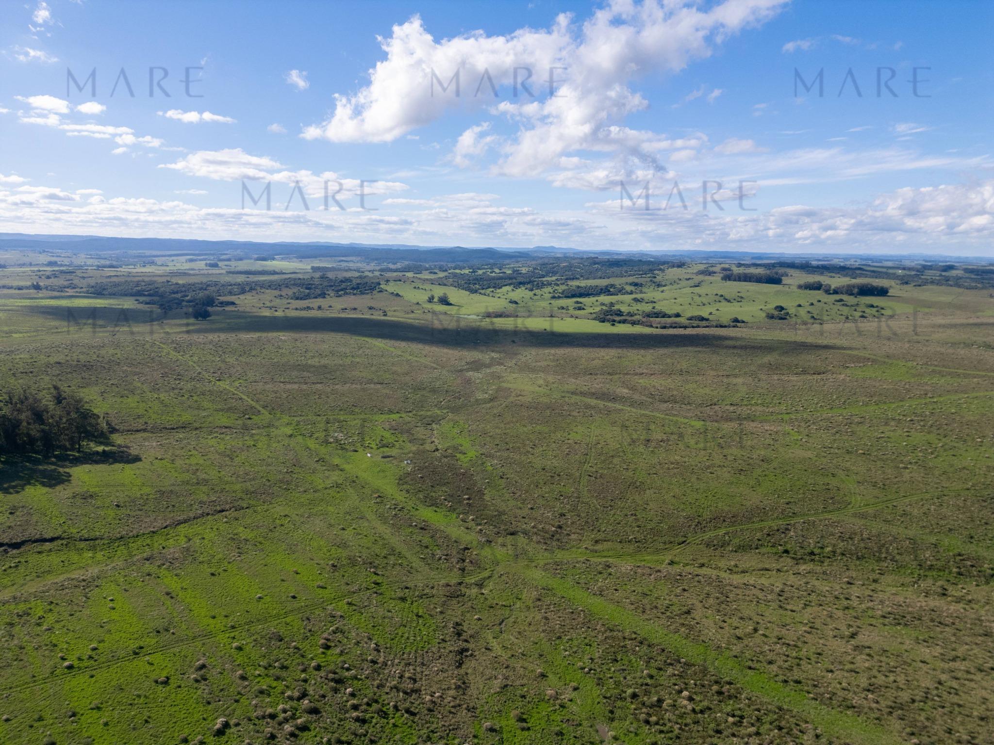 Espectacular Campo de 650 Hectáreas con Instalaciones Ganaderas - Garzón - Foto 17