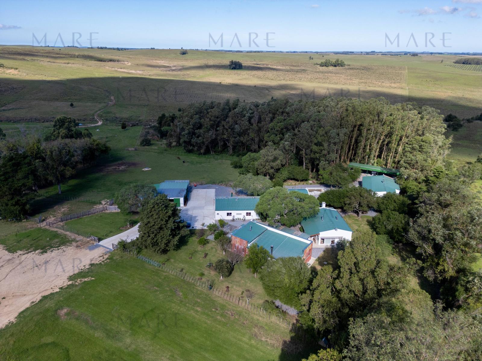Spectacular 650 Hectare Farm with Livestock Facilities - Garzón