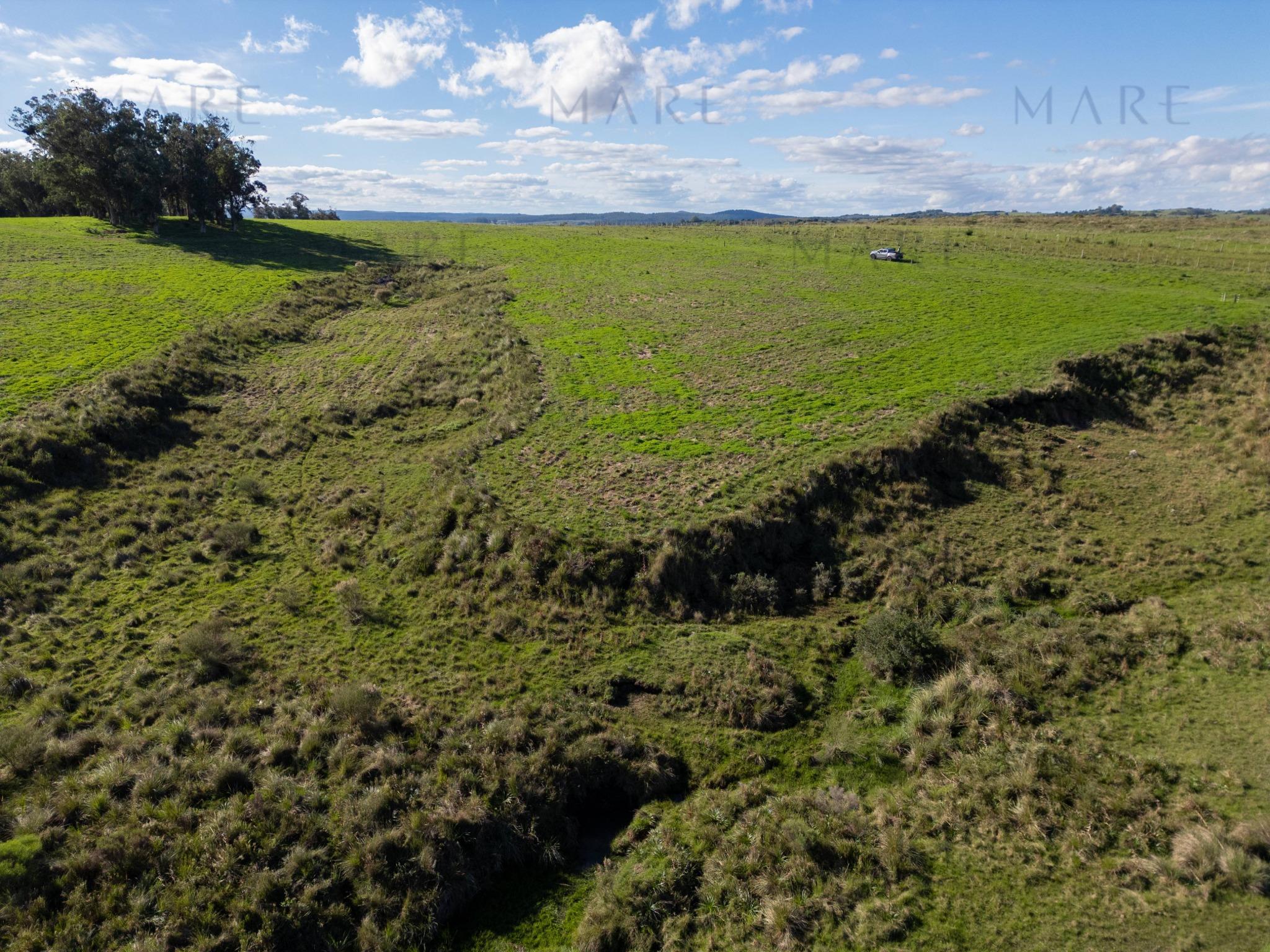 Espectacular Campo de 650 Hectáreas con Instalaciones Ganaderas - Garzón - Foto 31