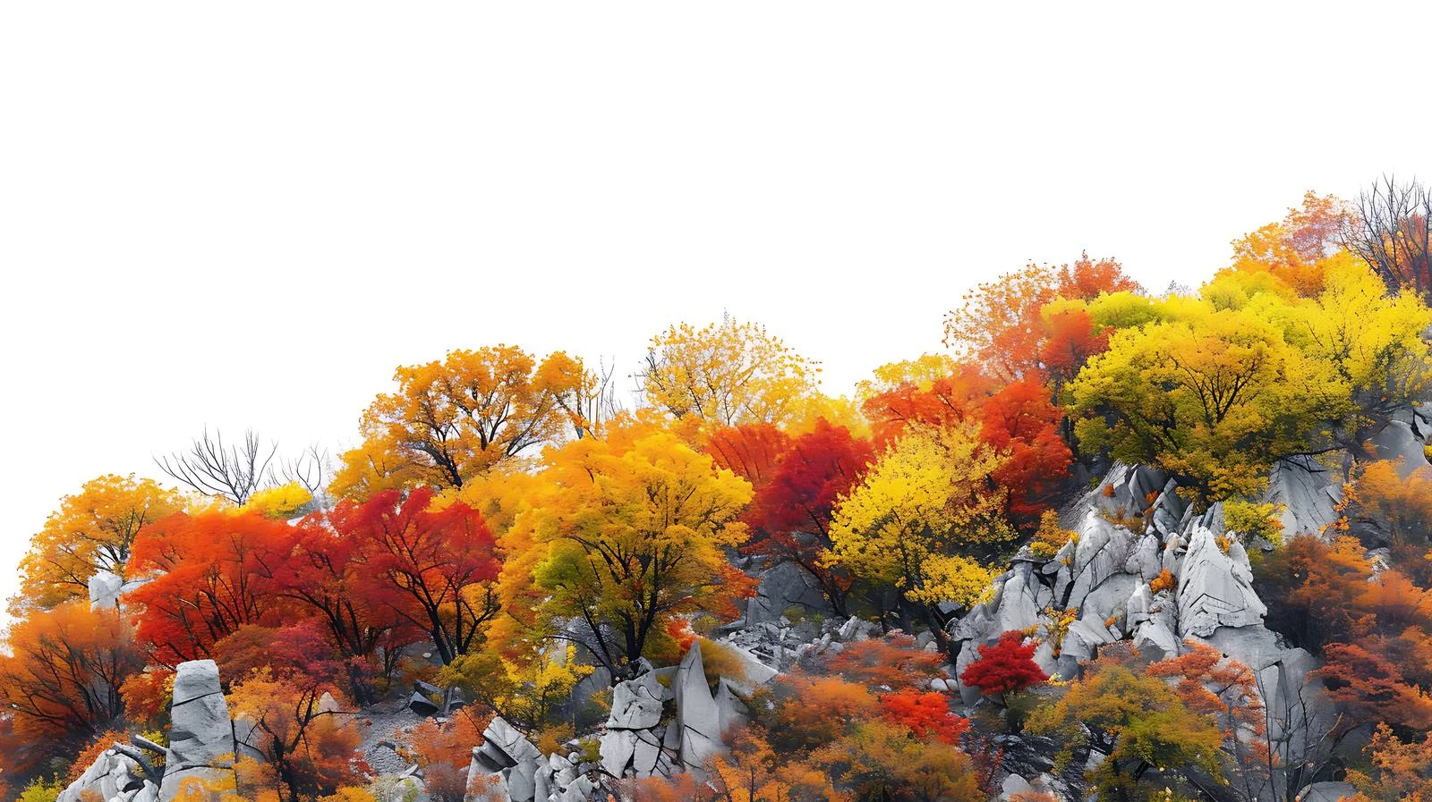 Vibrant Autumn Foliage in Southern Taihang — free download from Dotvec