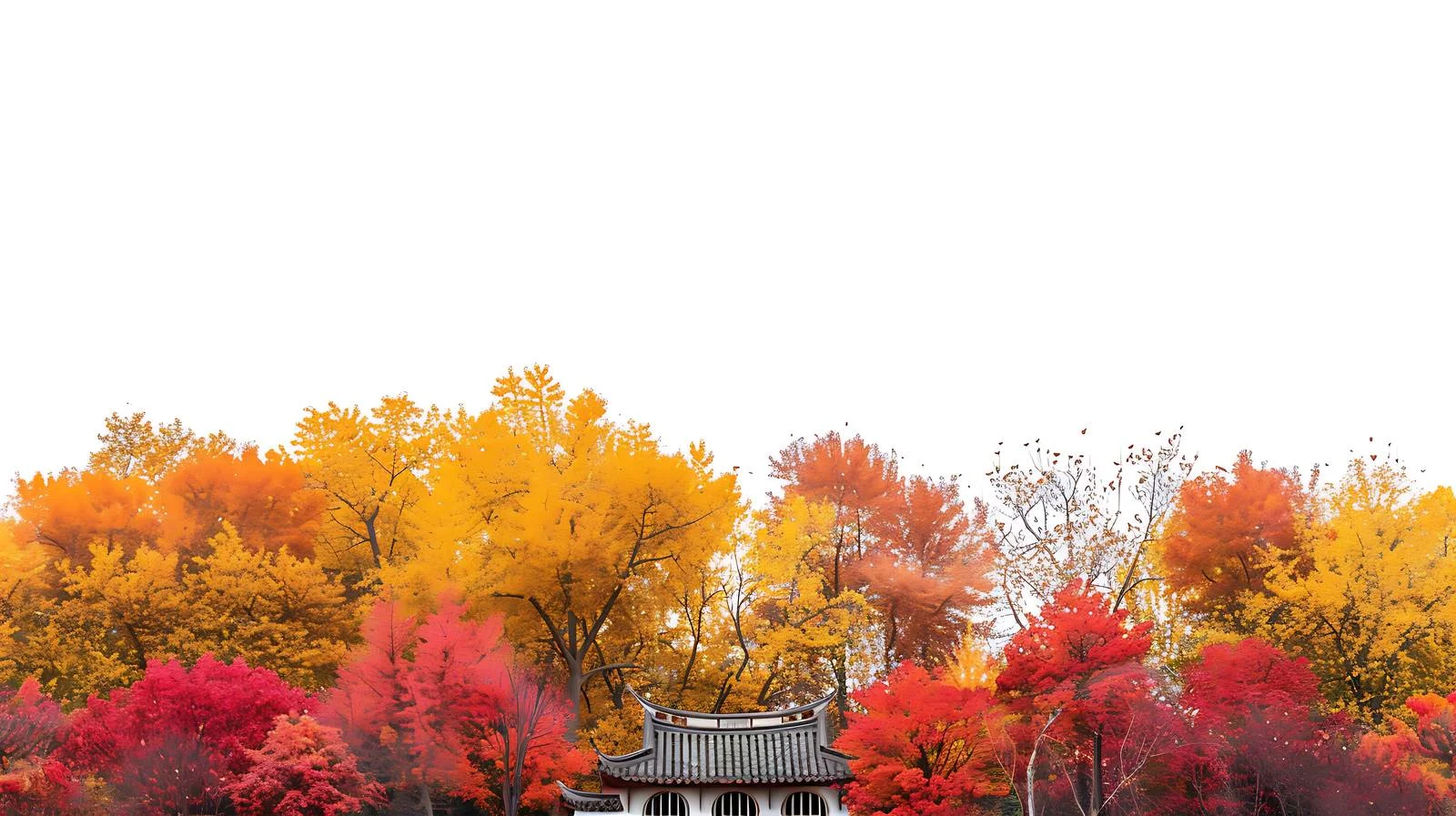 Vibrant Autumn Foliage in Southern Taihang — free download from Dotvec