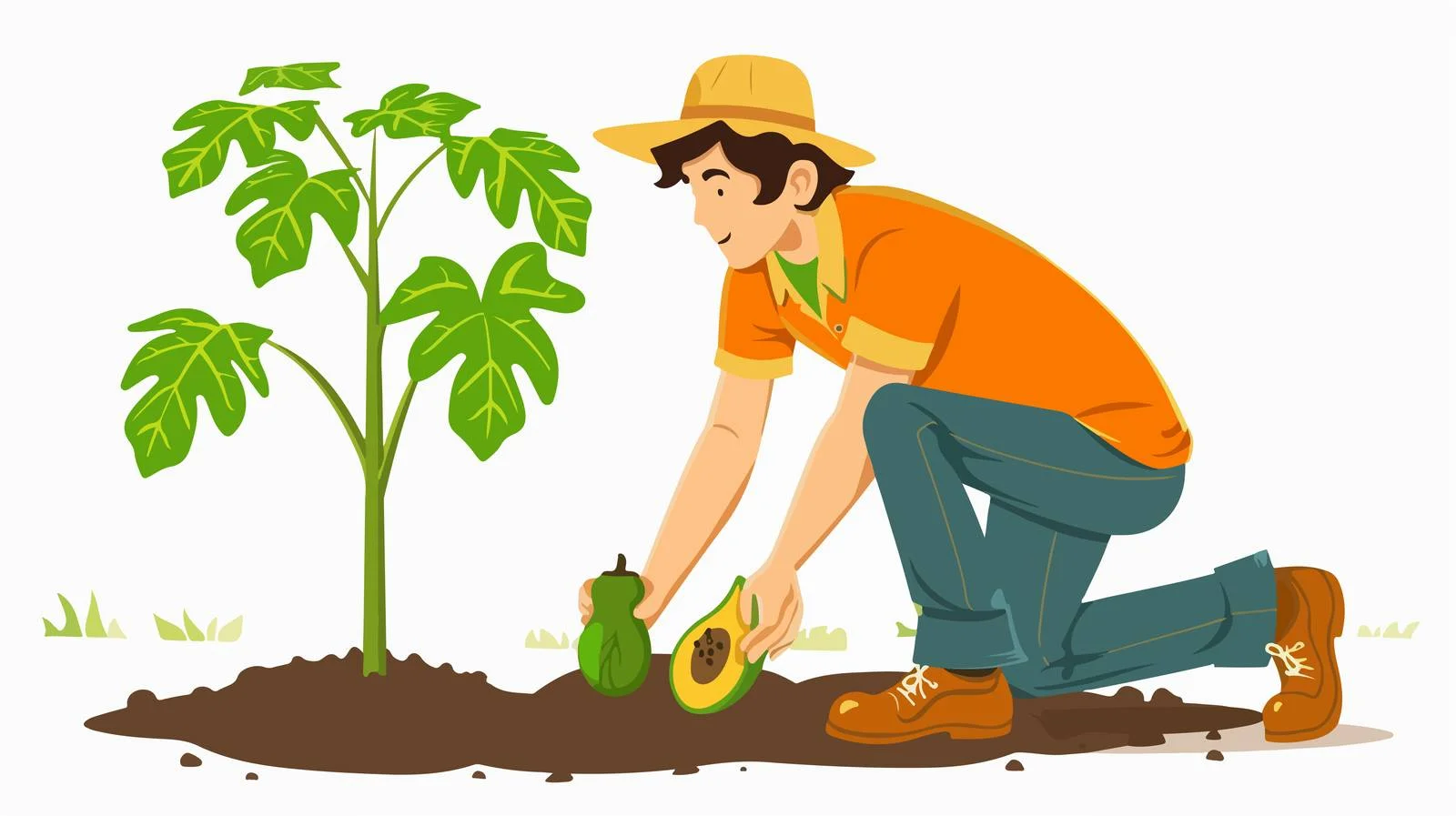 Planting Papaya Tree in Ground — free download from Dotvec