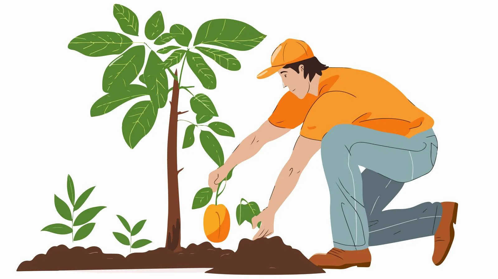 Planting Papaya Tree in Ground — free download from Dotvec