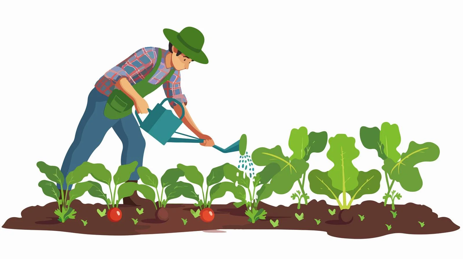 Watering Vegetable Garden with Can — free download from Dotvec