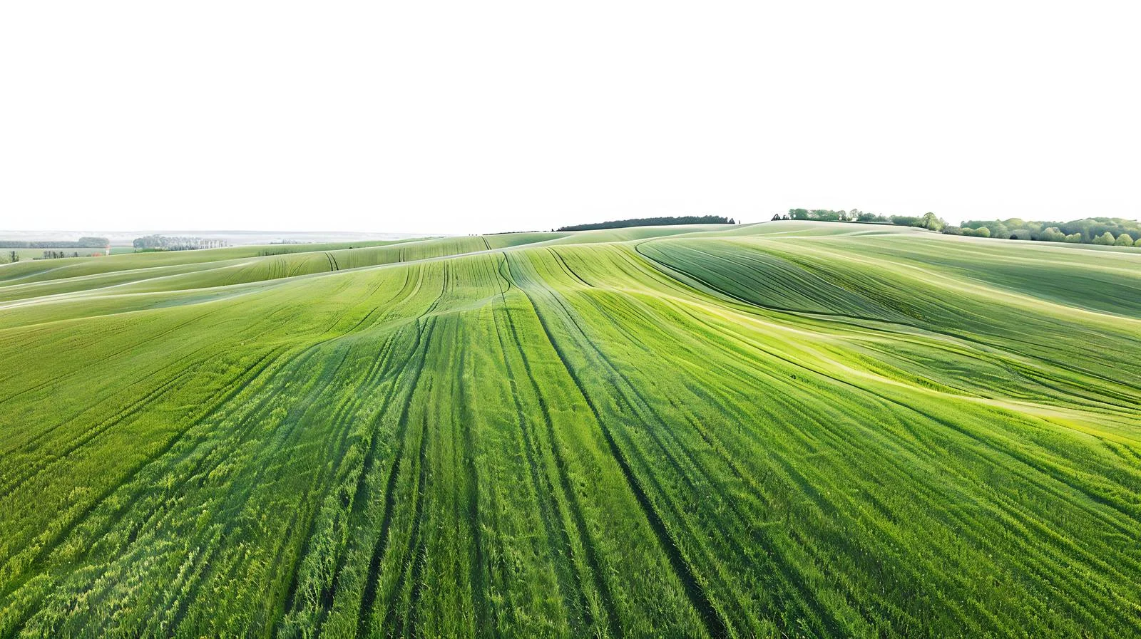 Vivid Spring Fields from Aerial Perspective — free download from Dotvec