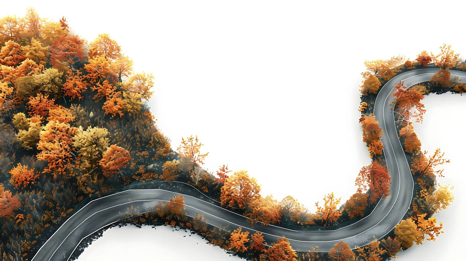 Autumn Aerial View of Curving Road — free download from Dotvec