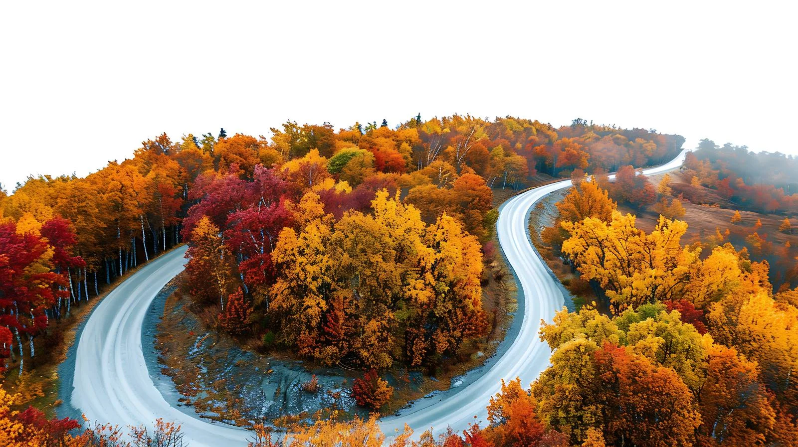 Autumn Aerial View: Serpentine Path through Windy Scenery — free download from Dotvec